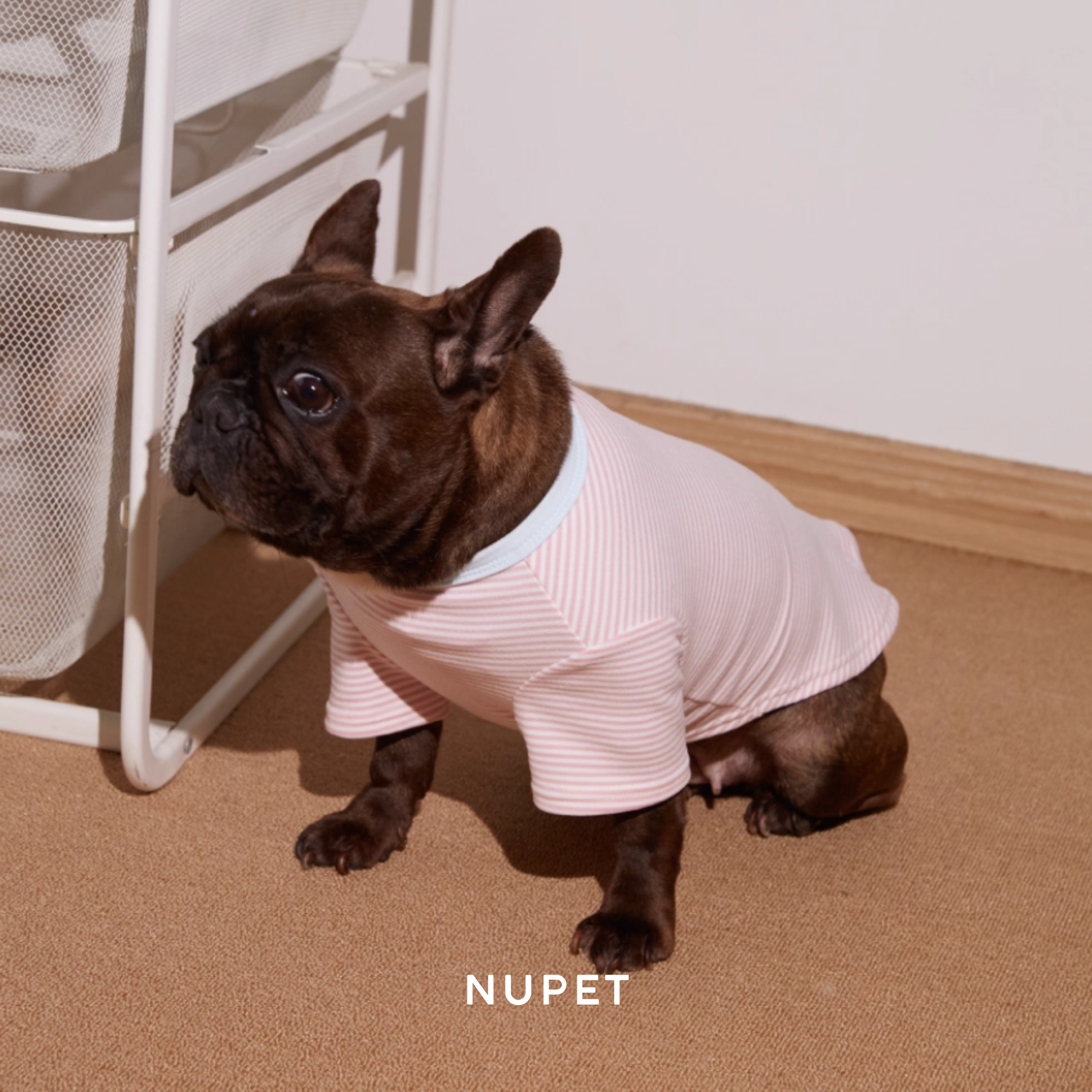 ボーダーコットントップス