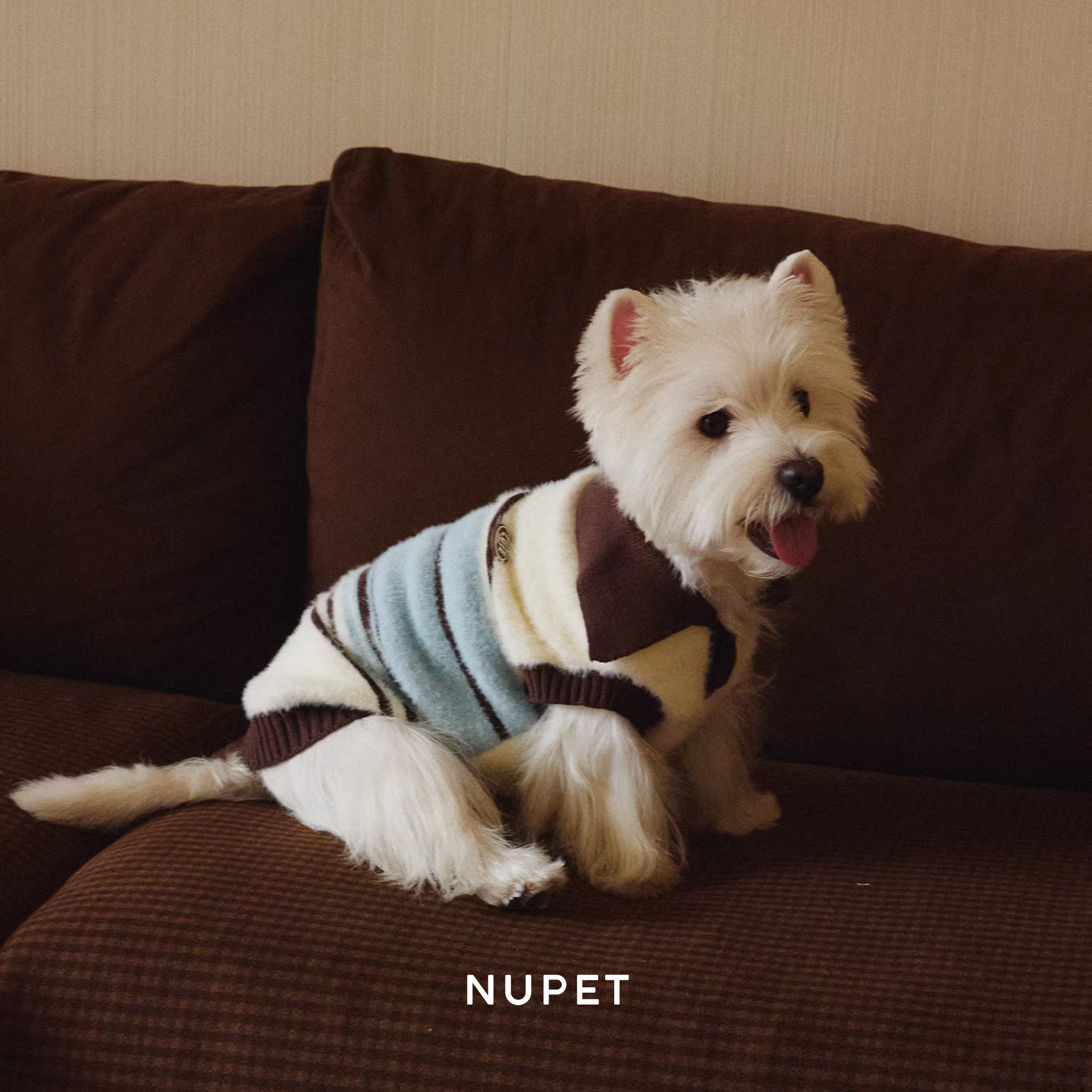 襟付きボーダーニットトップス