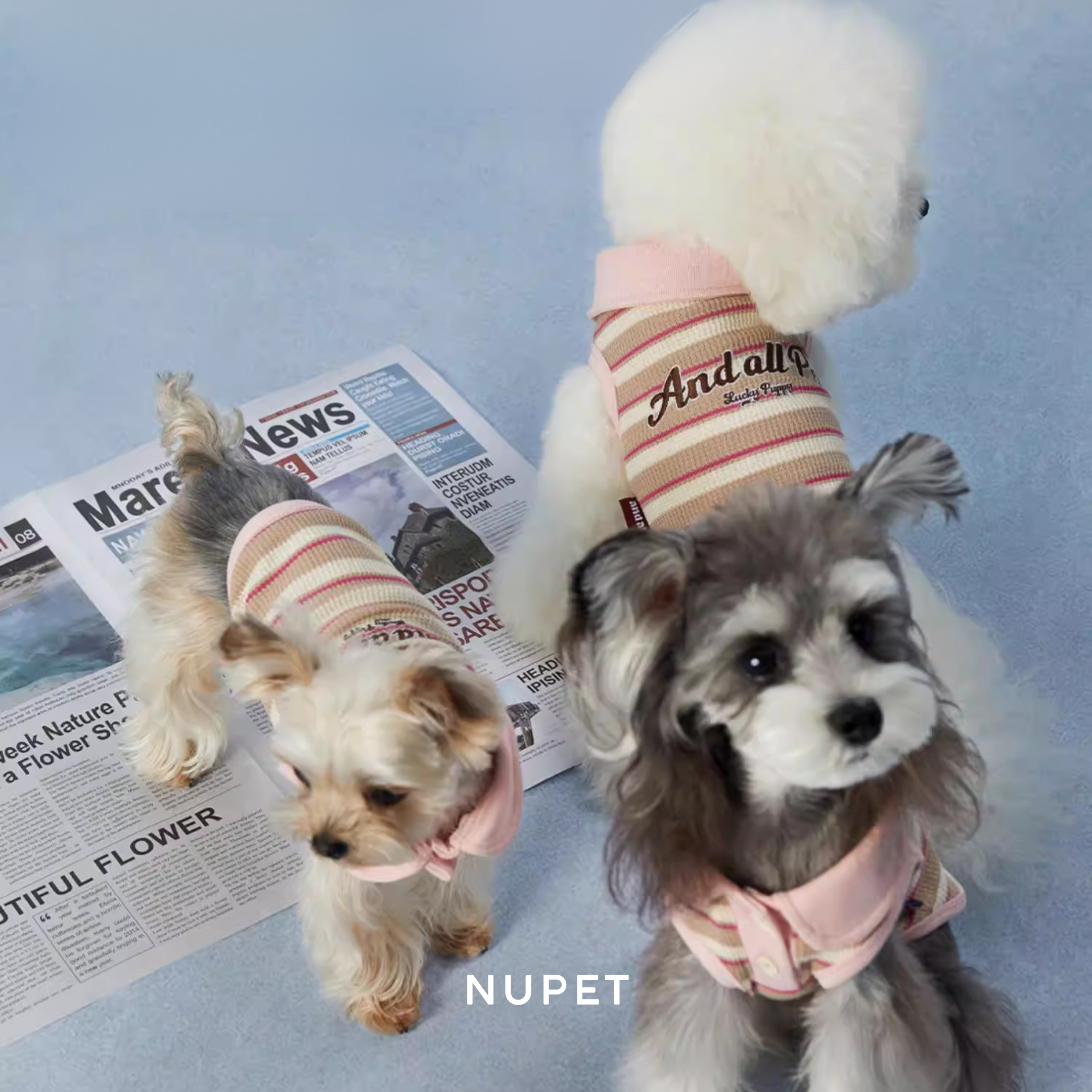 ソフトカラーニット