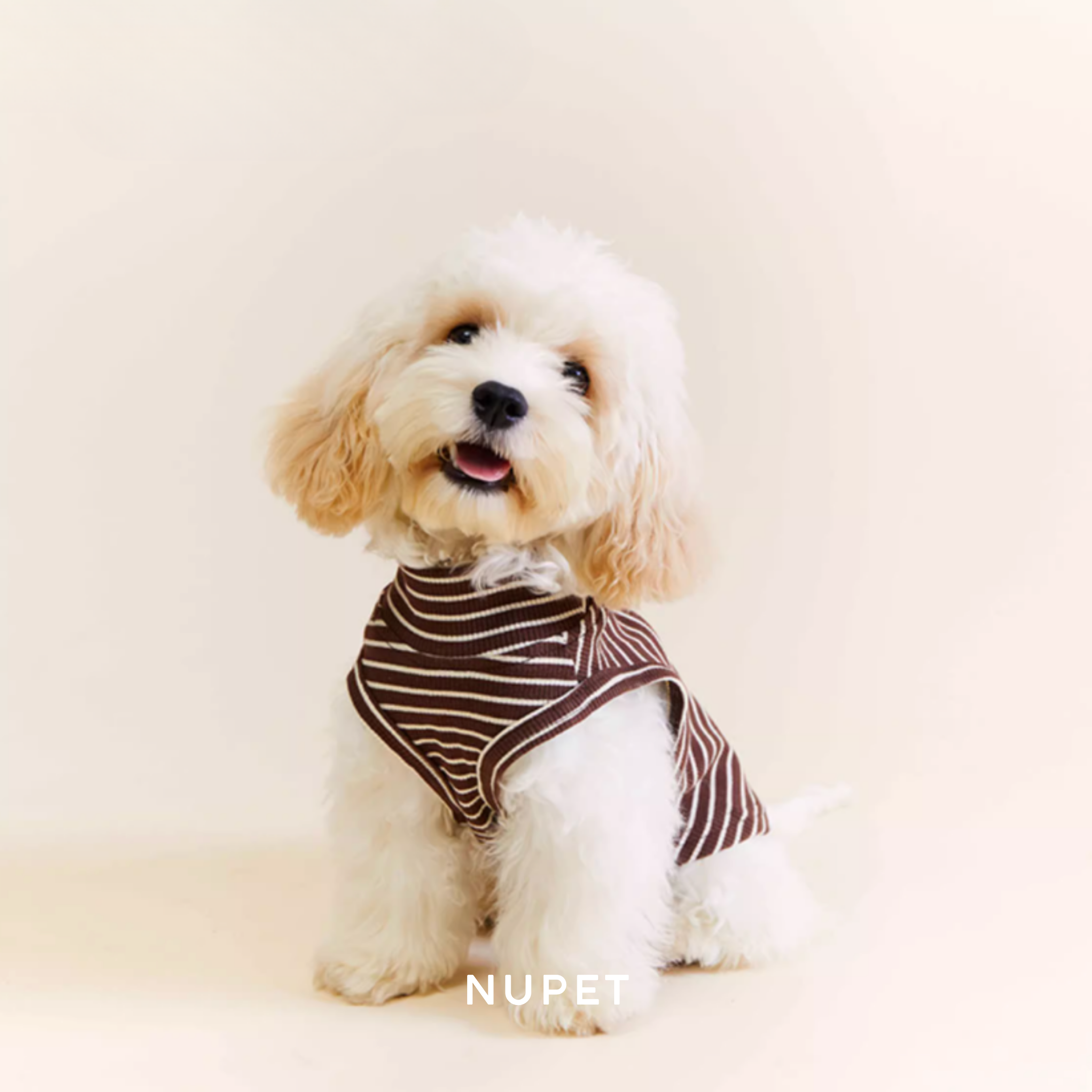 ストライプコットントップス