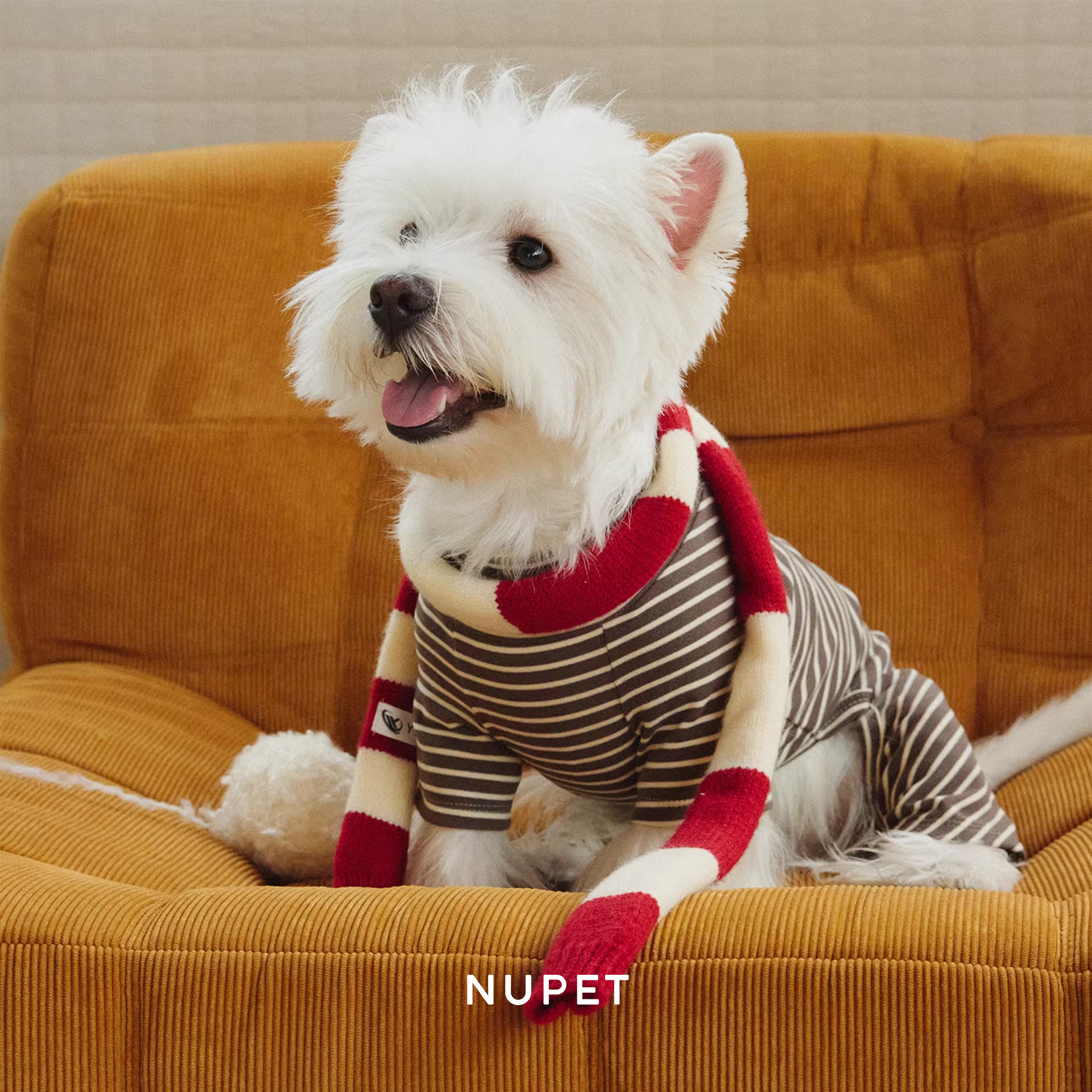 デイリーボーダートップス