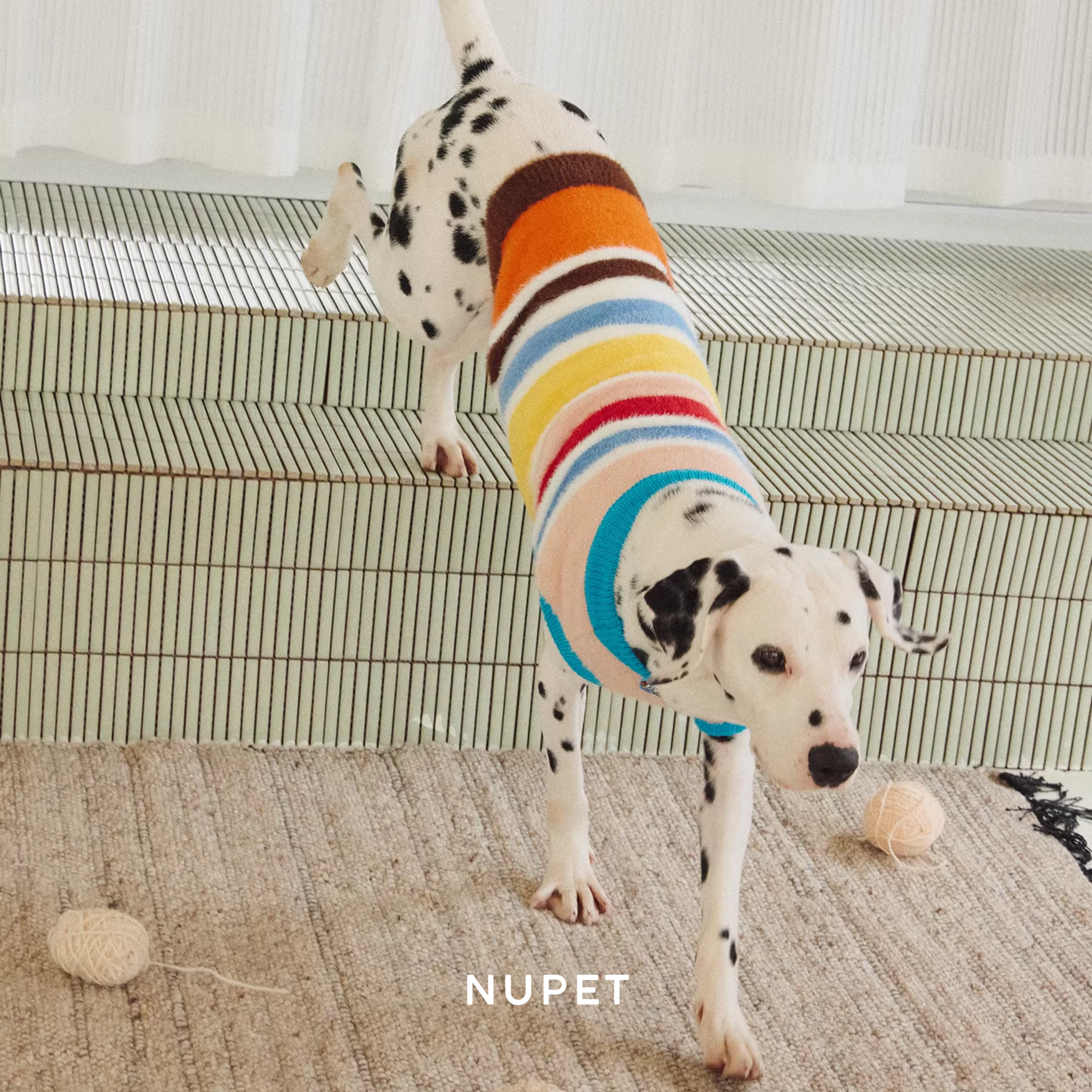 カラーボーダーニットトップス