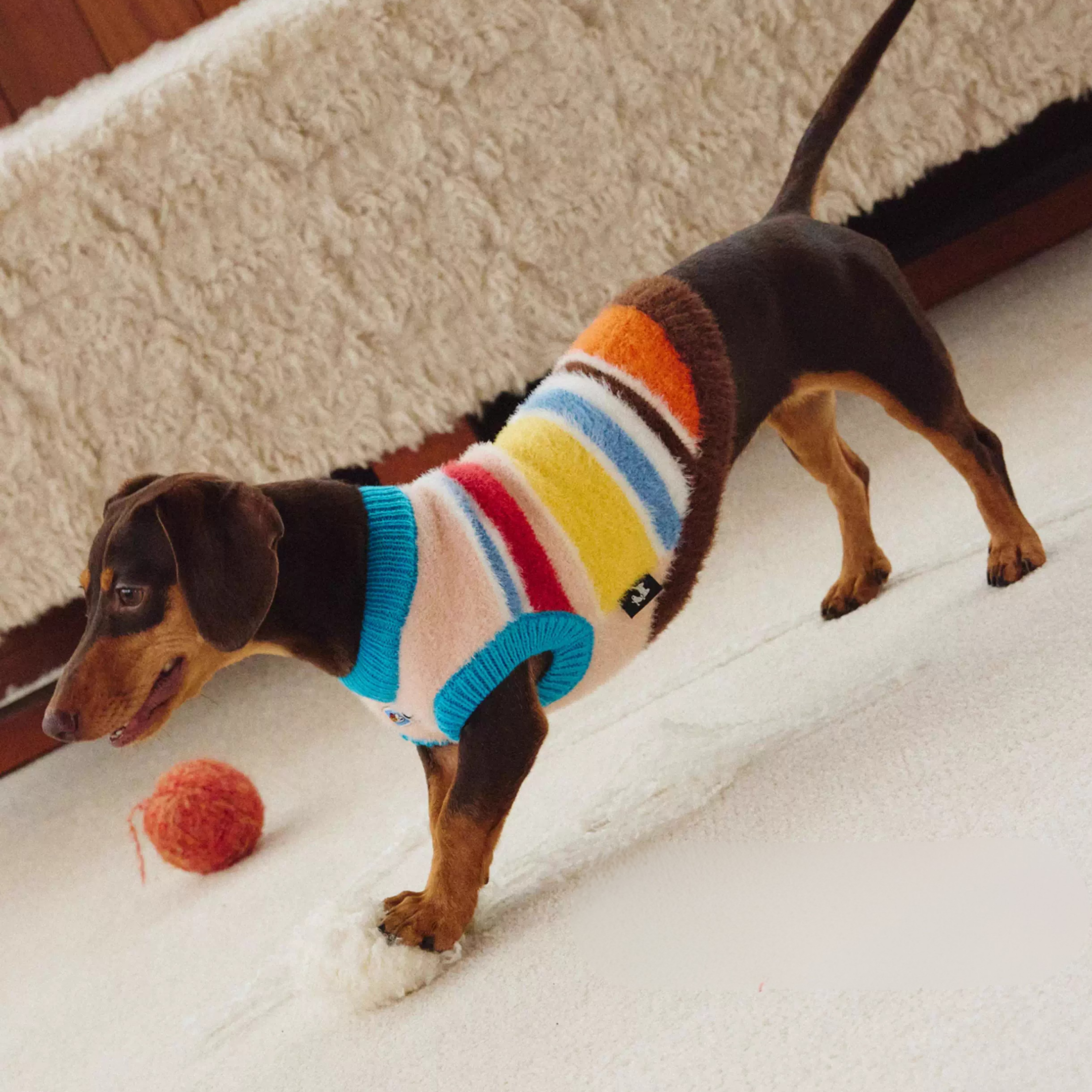 カラーボーダーニットトップス