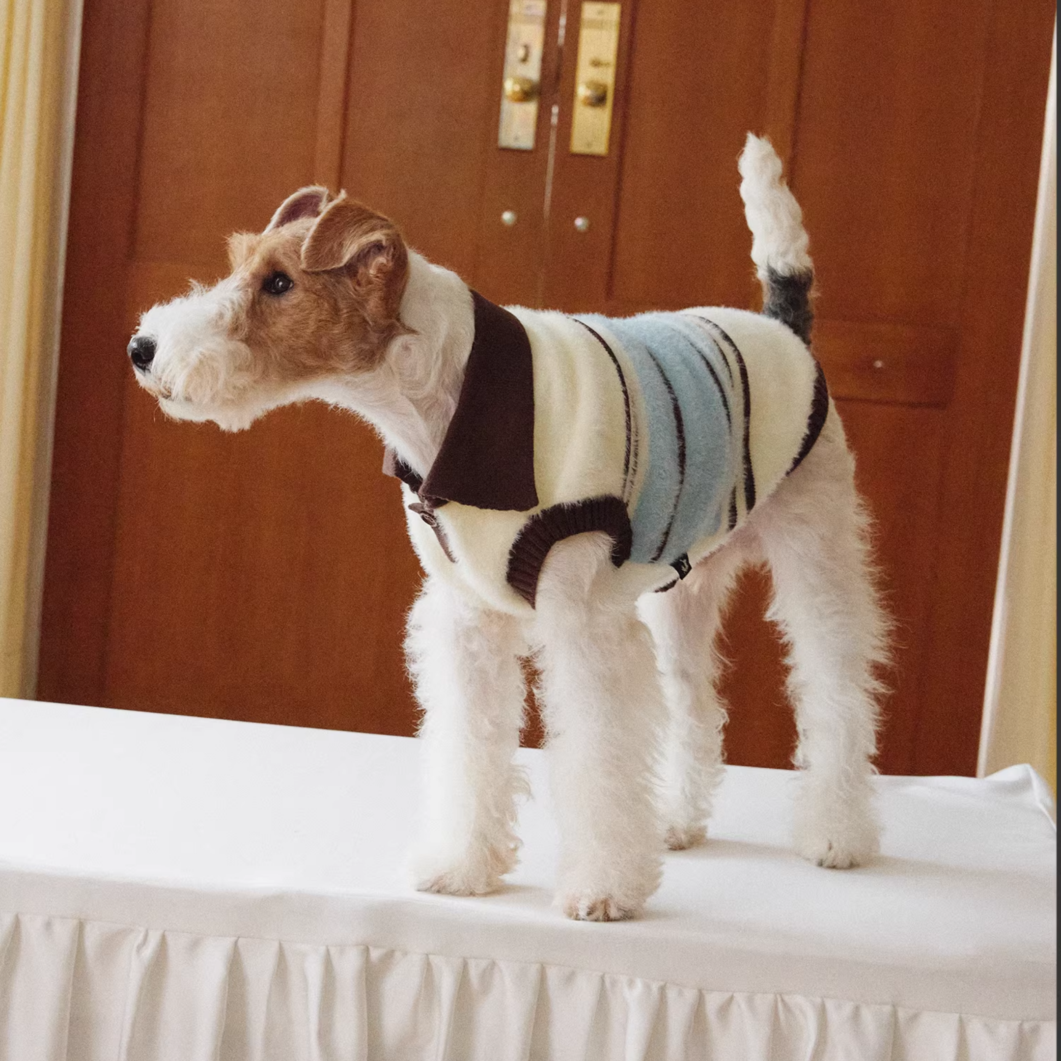 襟付きボーダーニットトップス