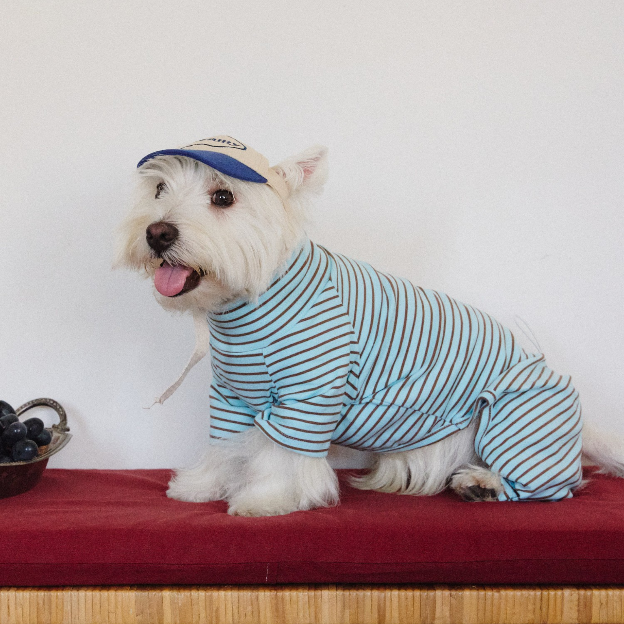 デイリーボーダートップス