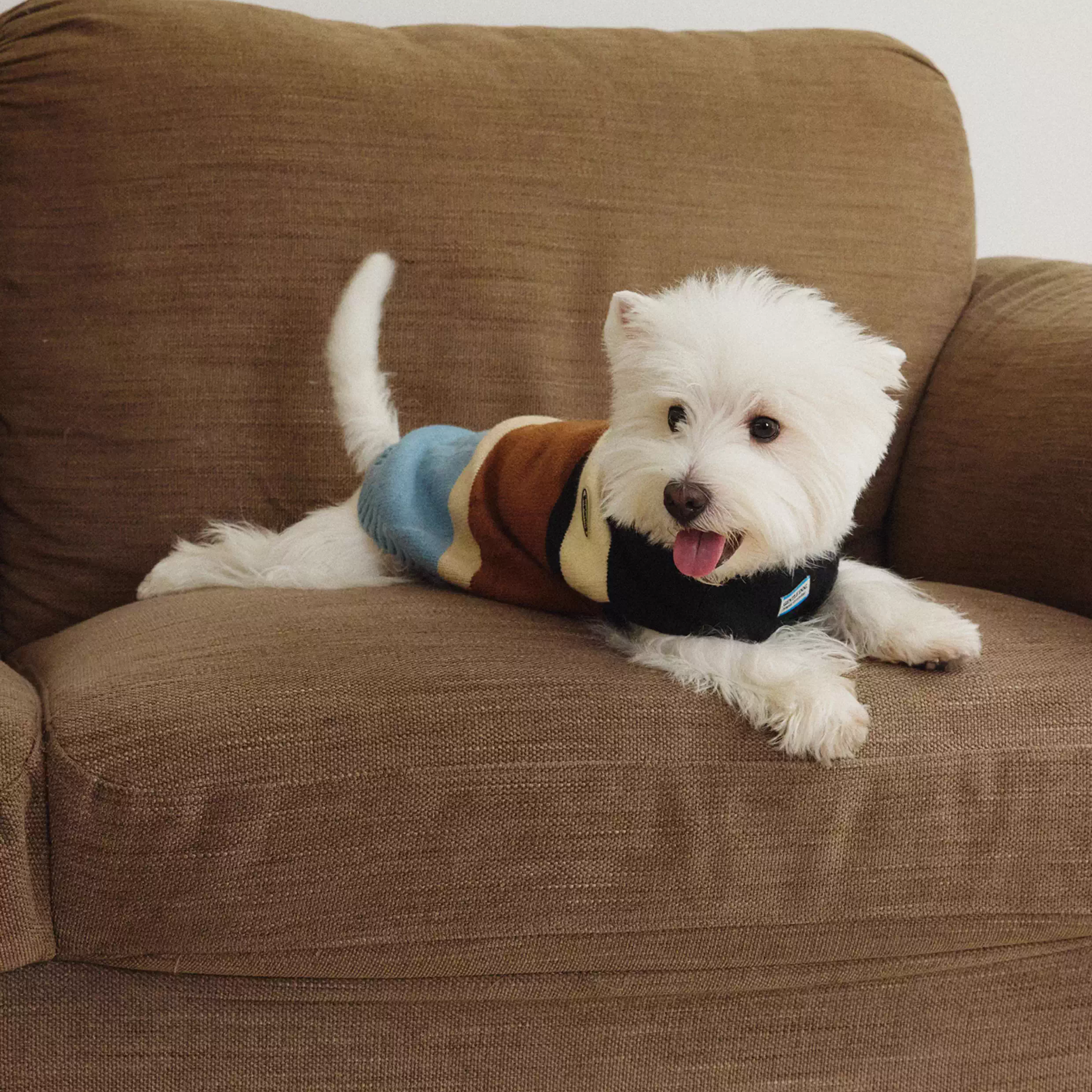 コンフォートボーダートップス