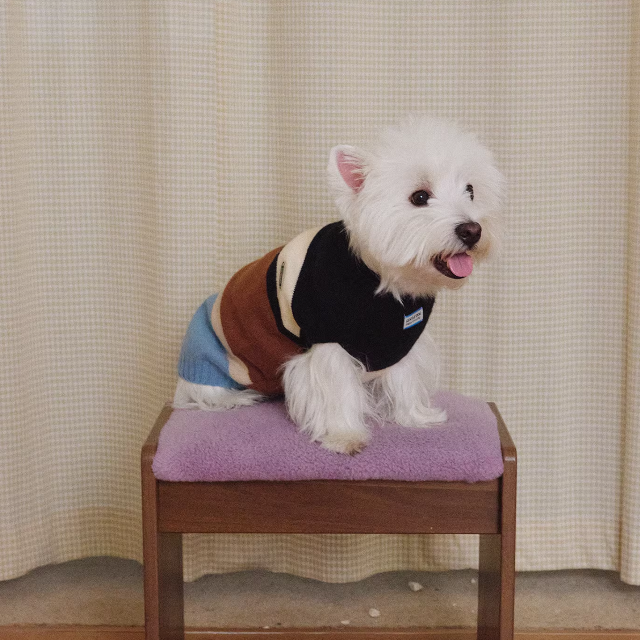 コンフォートボーダートップス