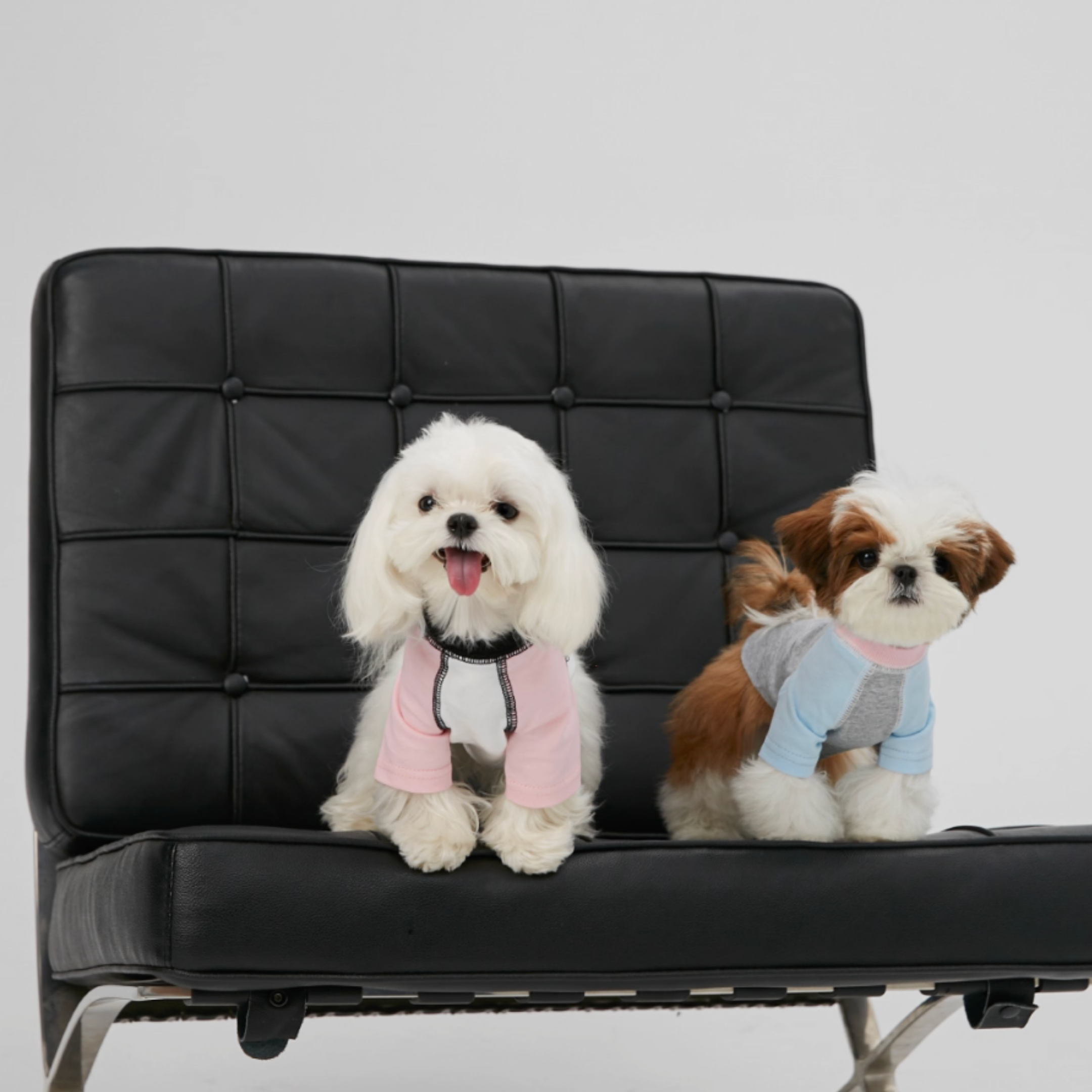 バイカラーラグラントップス