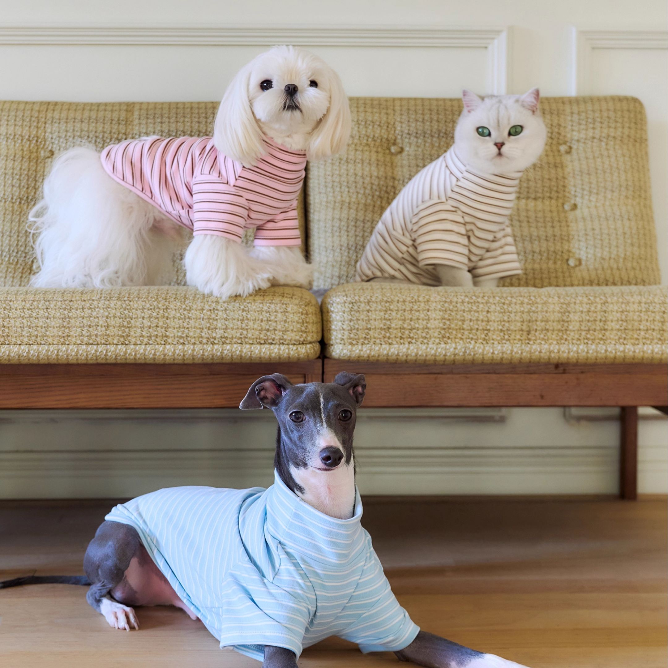 ストライプレイヤートップス