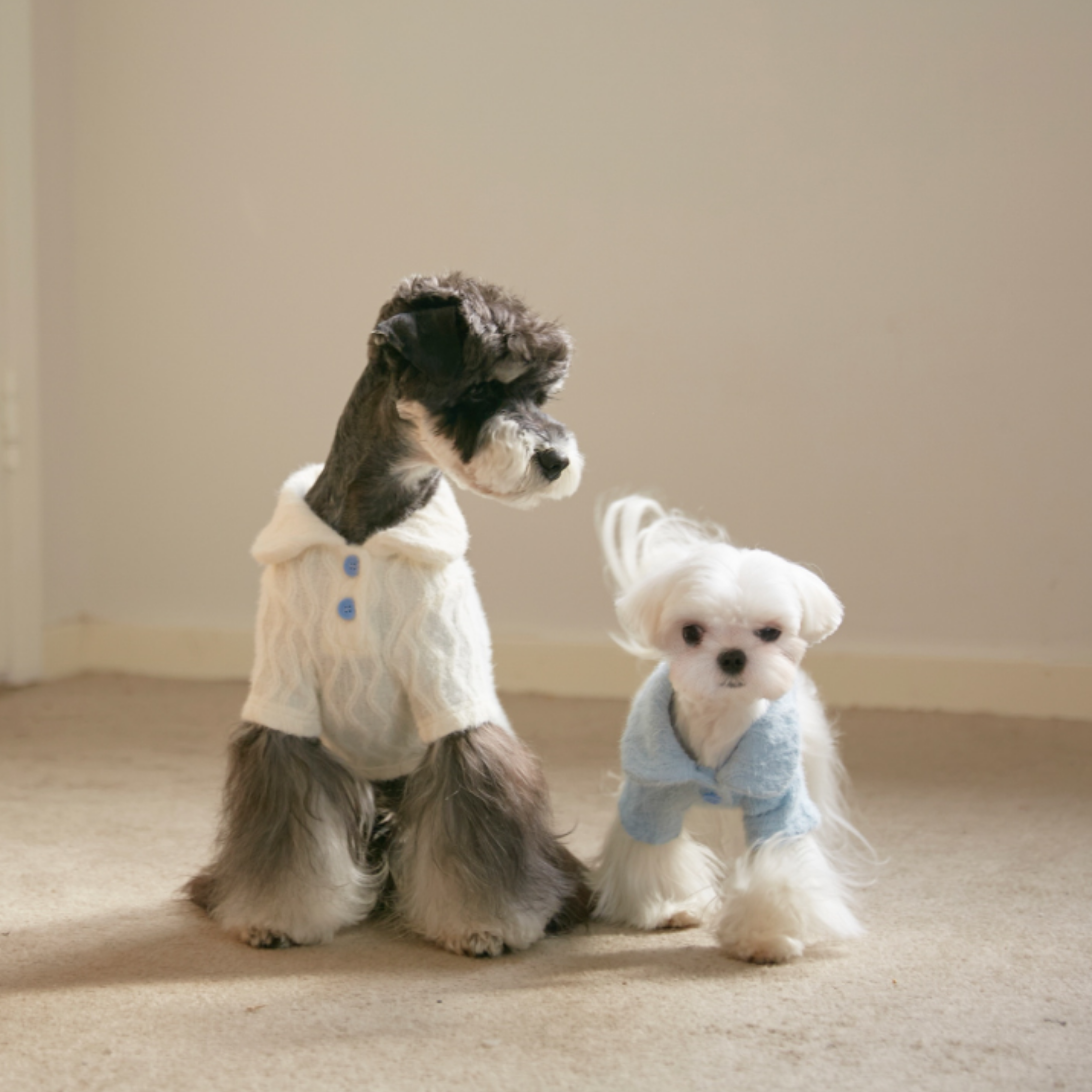 ケーブルロールトップス