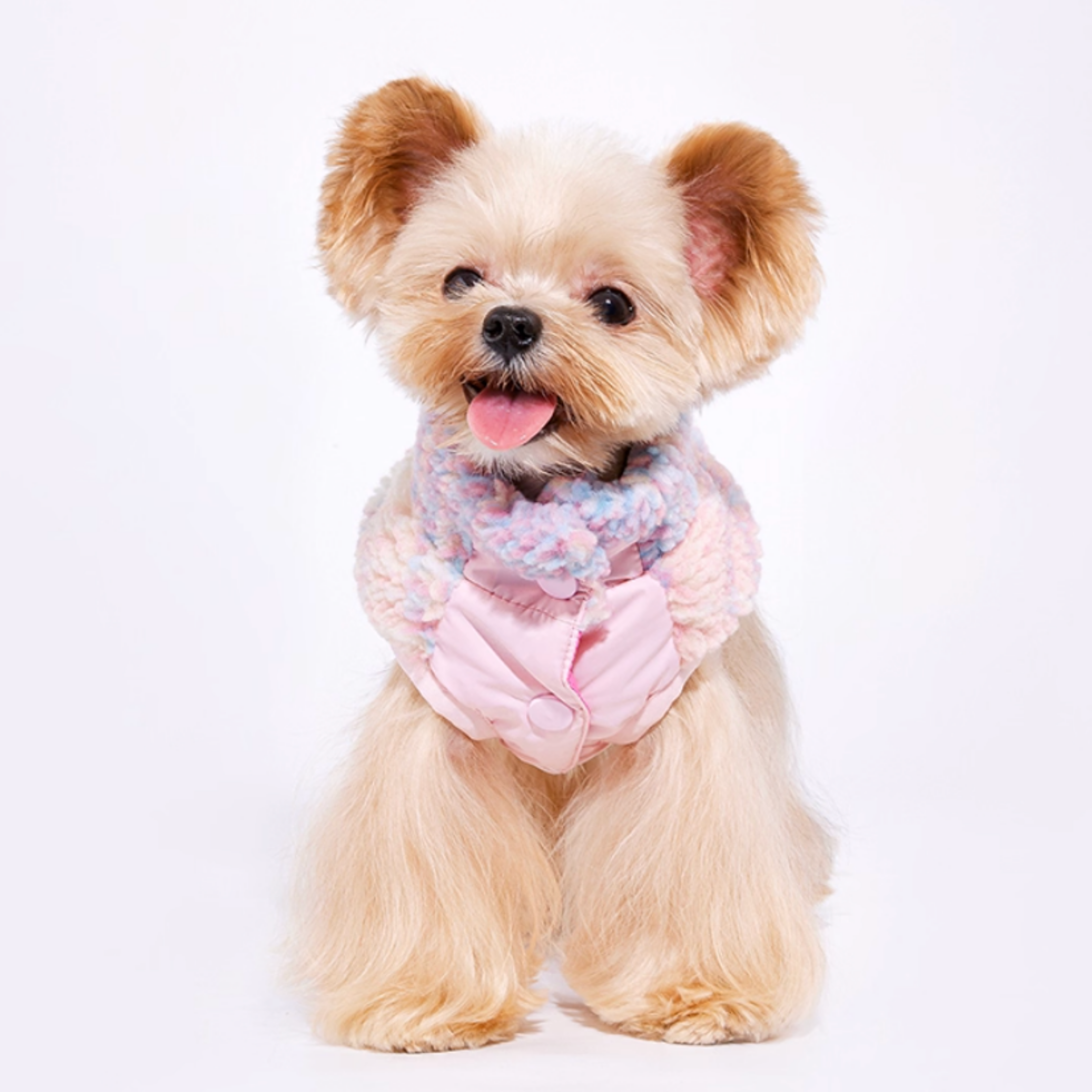 ソフトボアフーディ