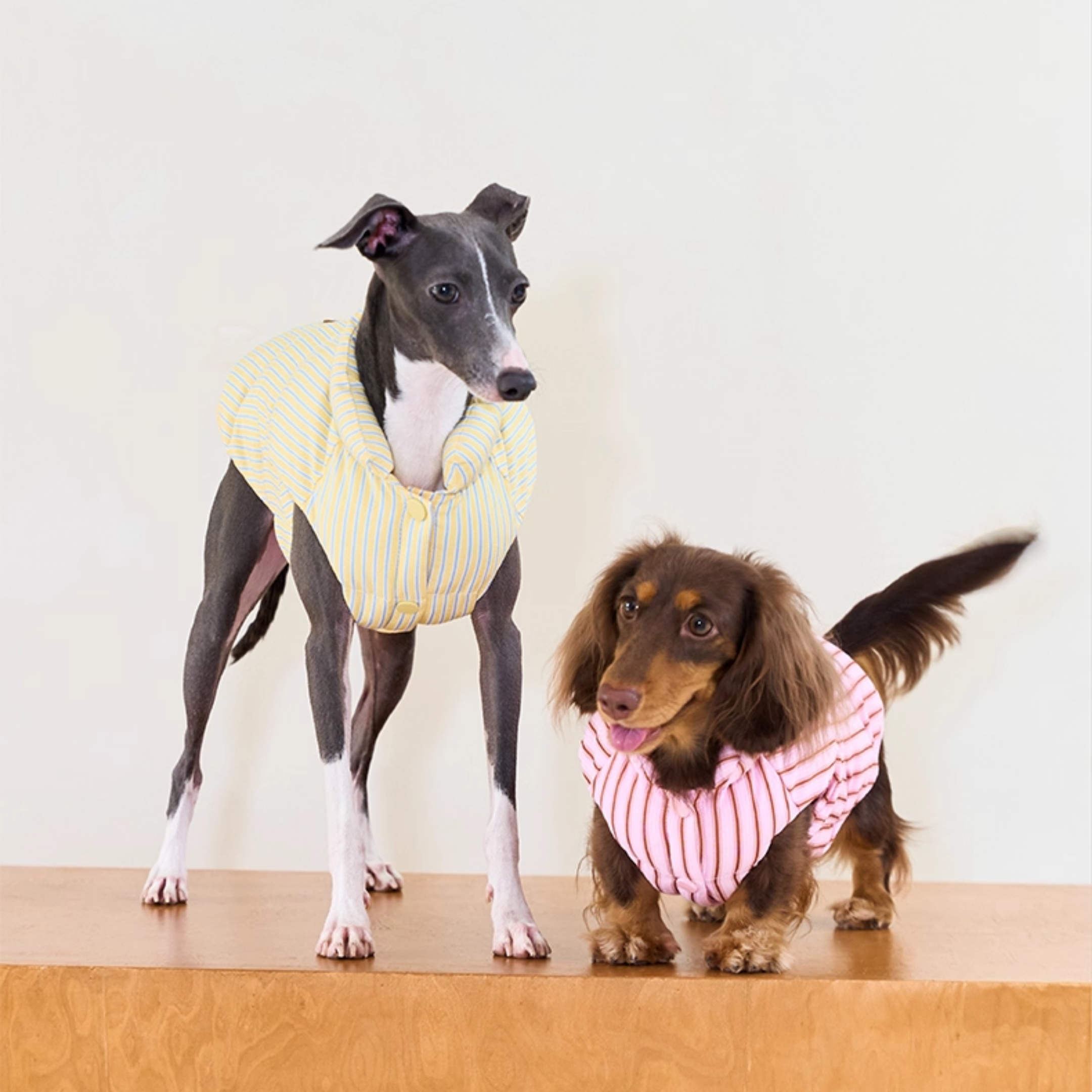 ストライプパフアウター