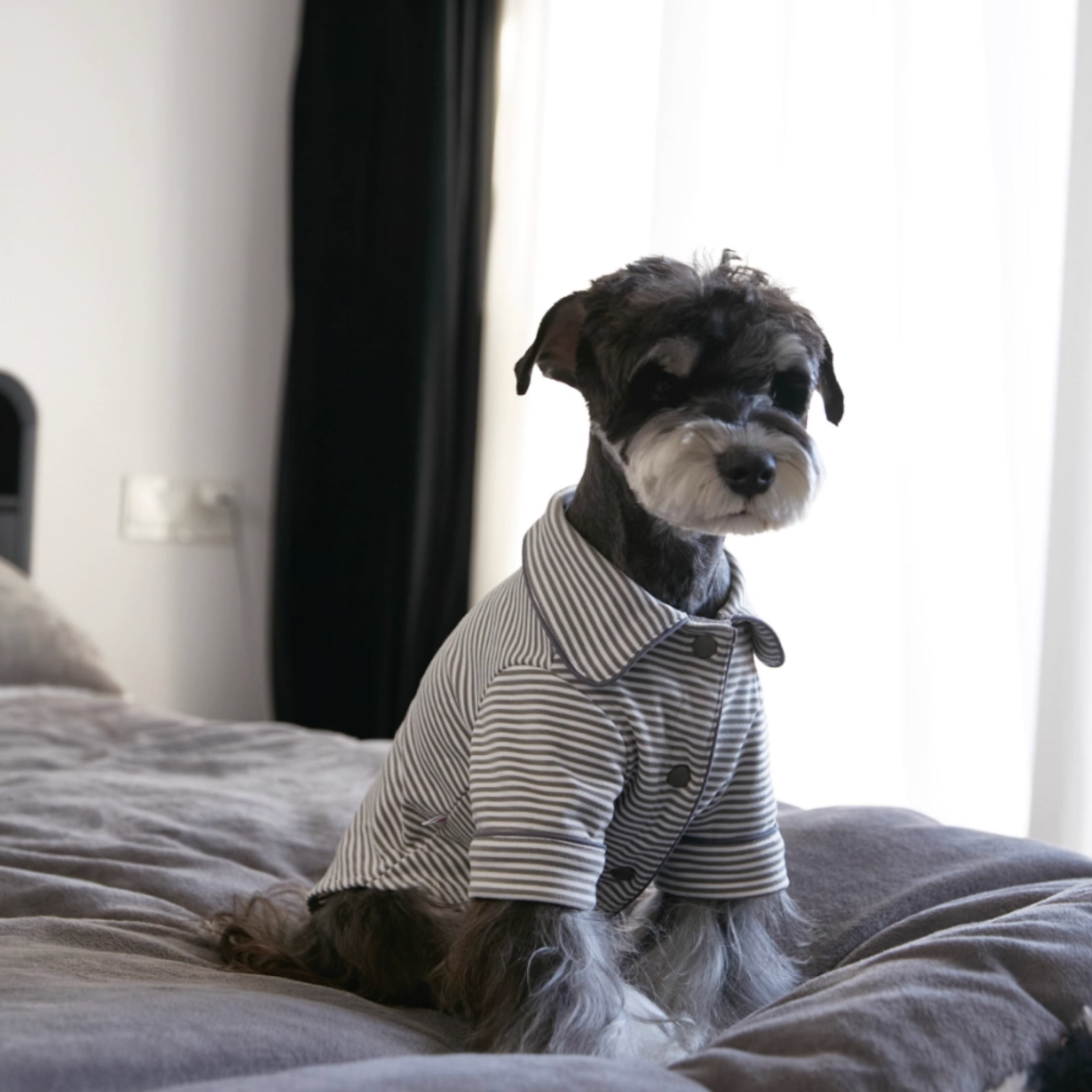 ストライプシャツトップス