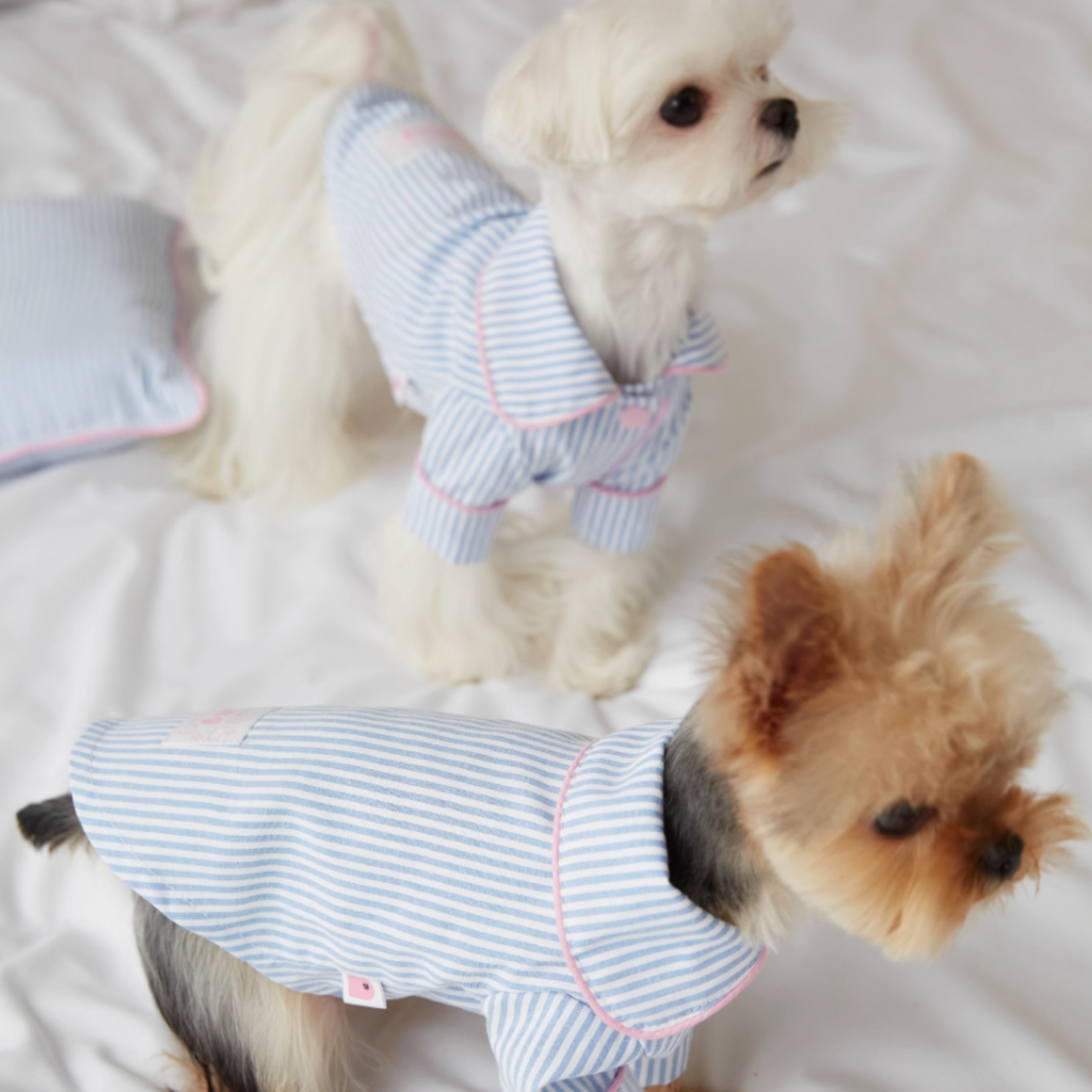 ストライプパジャマトップス