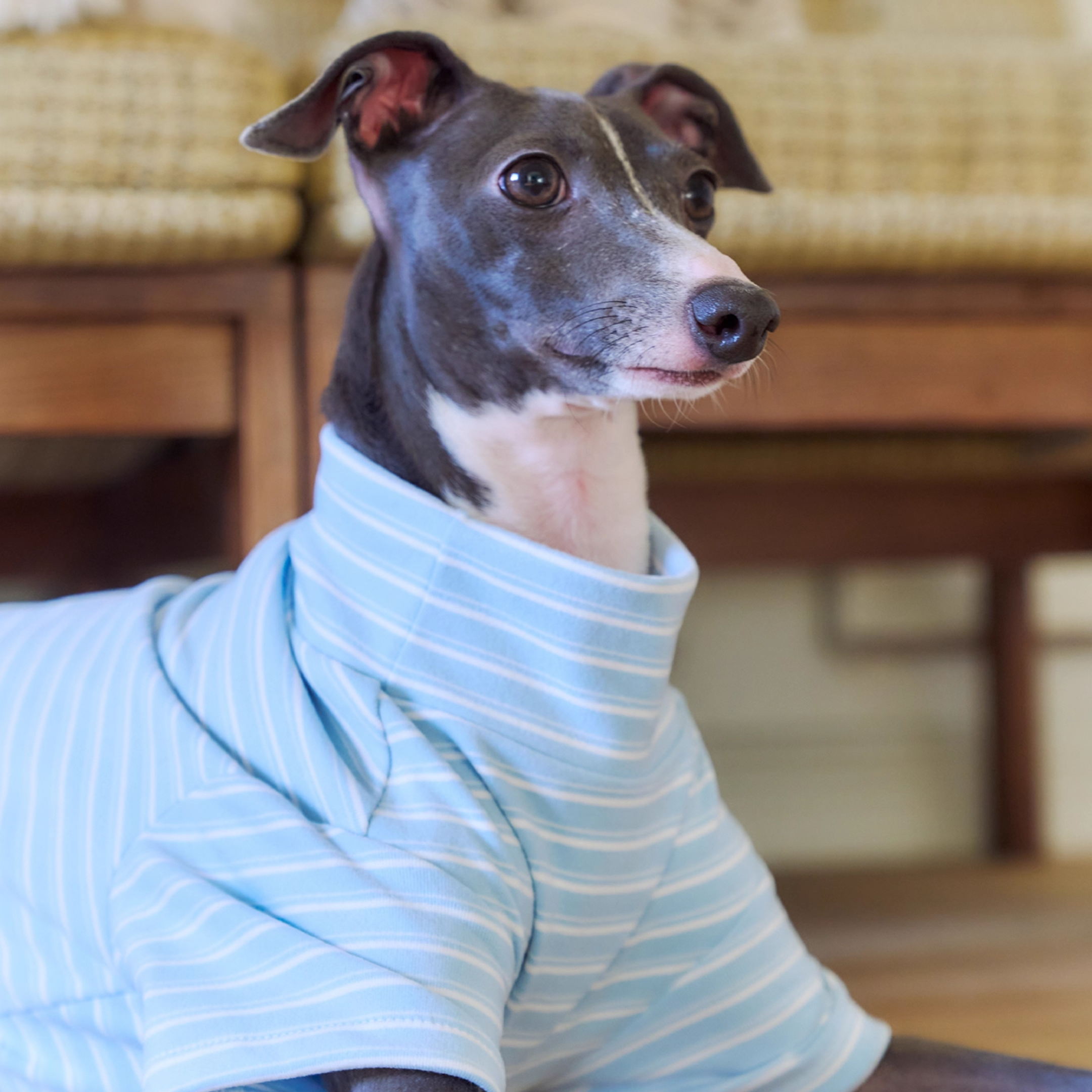 ストライプレイヤートップス