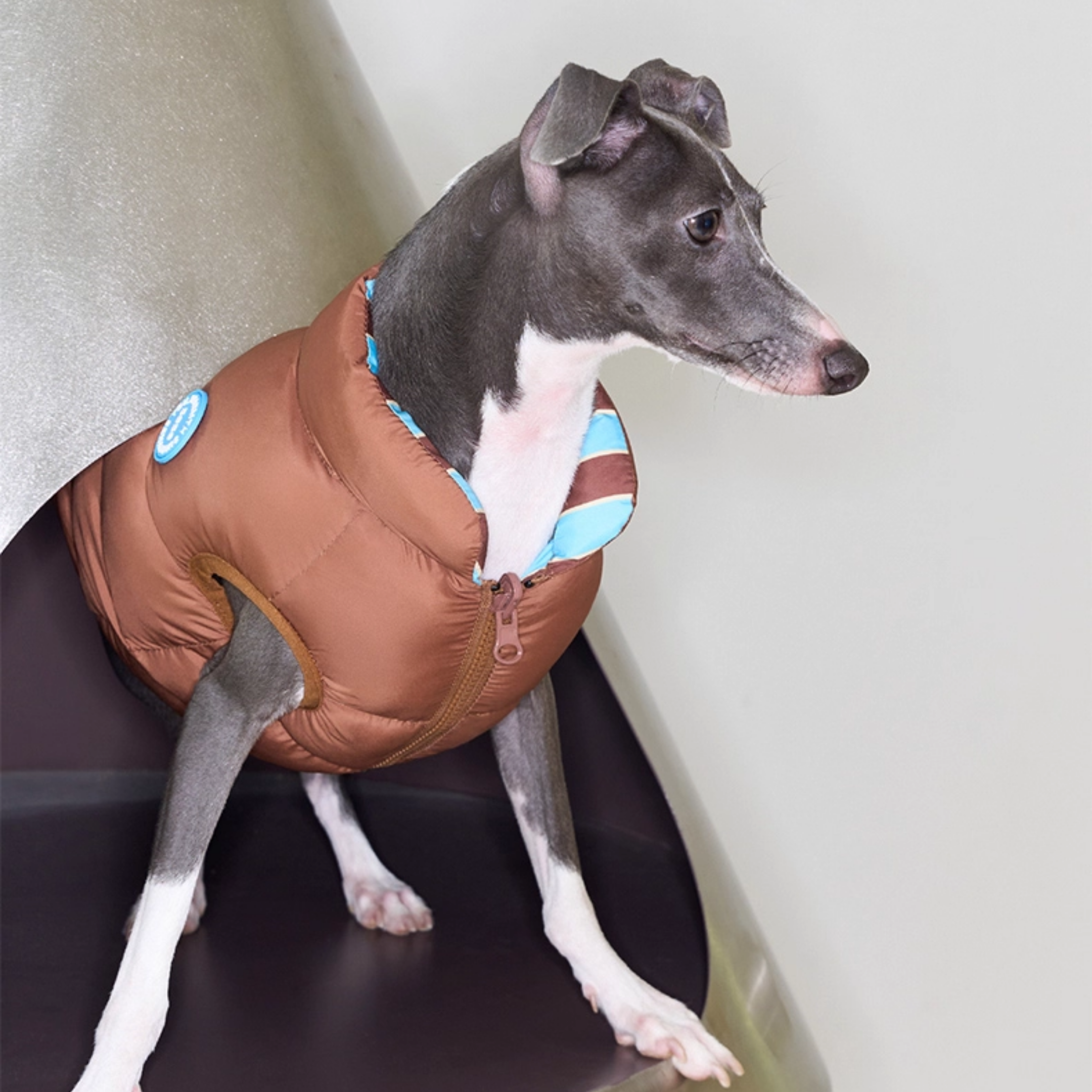 リバーシブルライトダウンジャケット