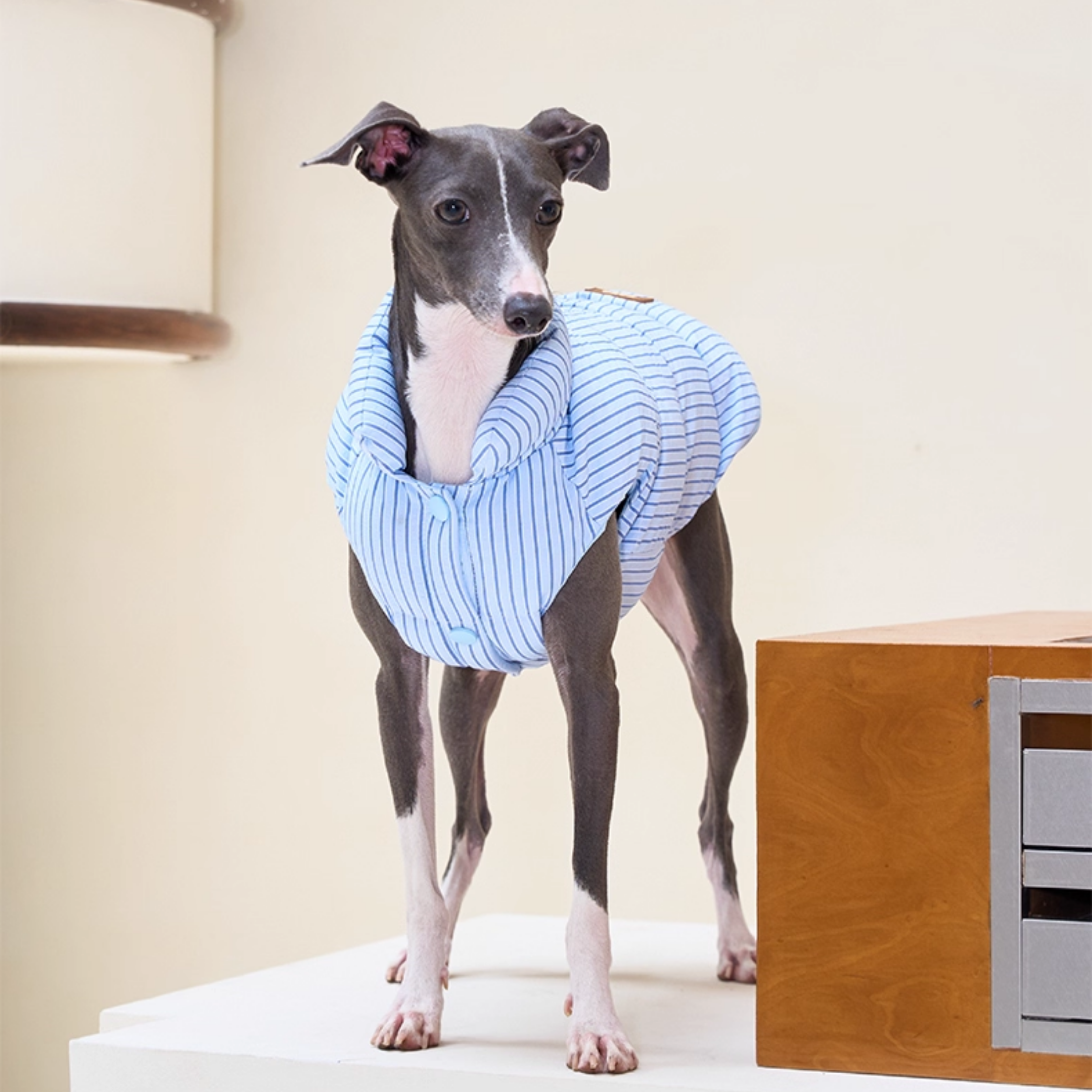 ストライプパフアウター