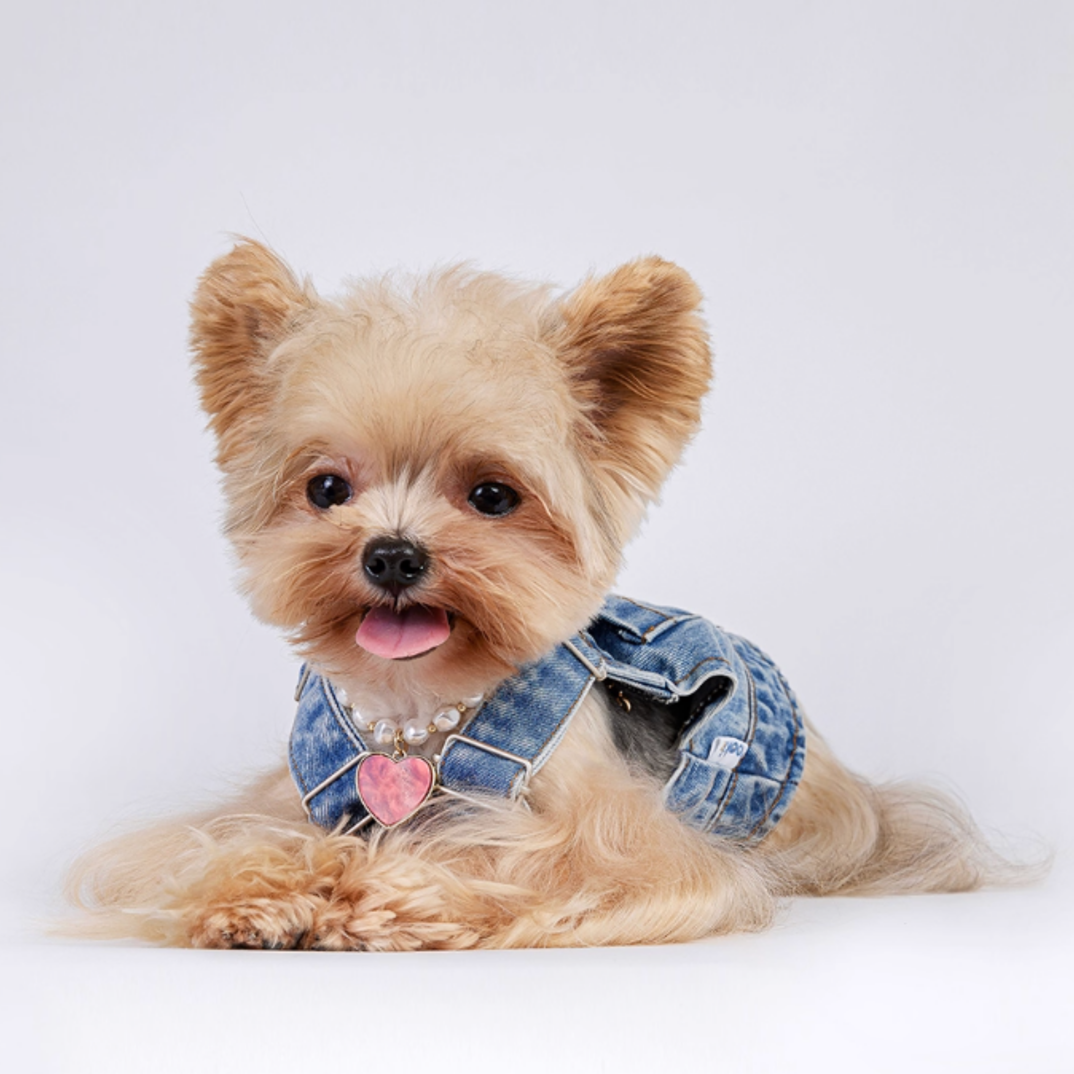 デニムオーバーオール