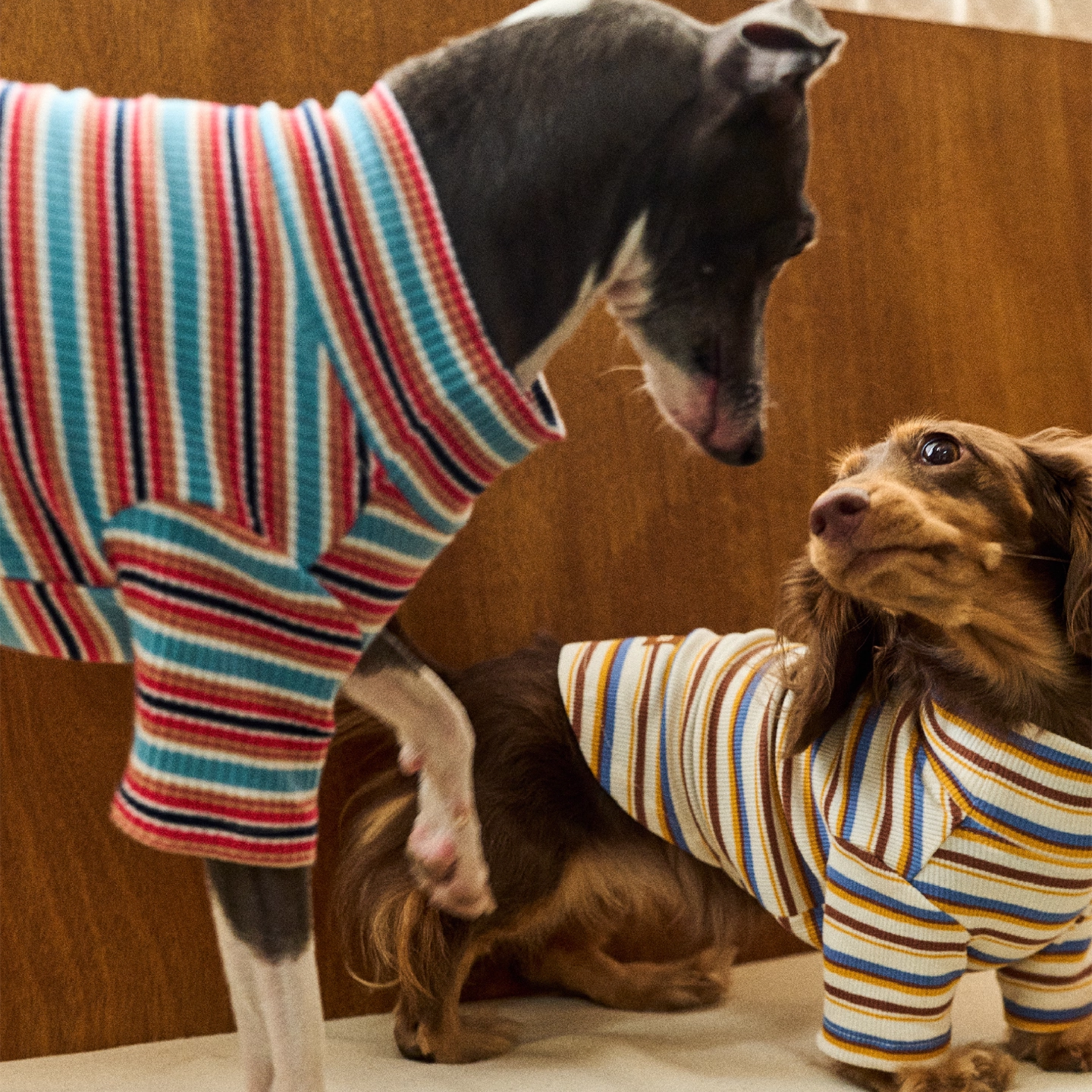 レトロラインタートルトップス