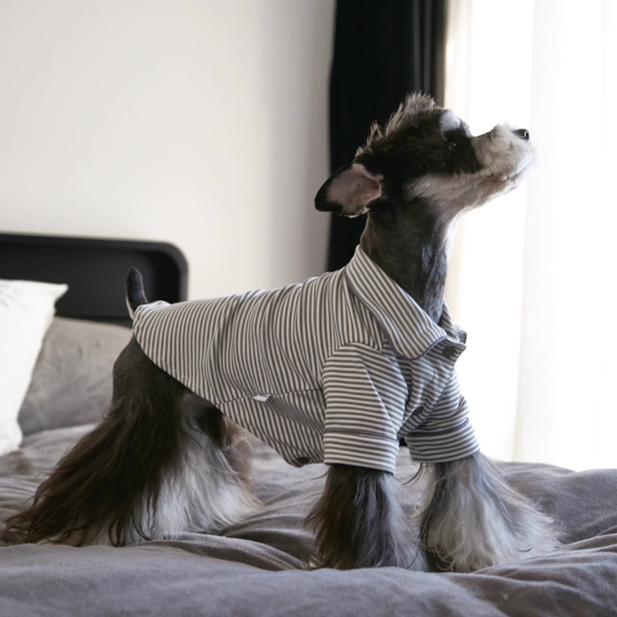 ストライプシャツトップス