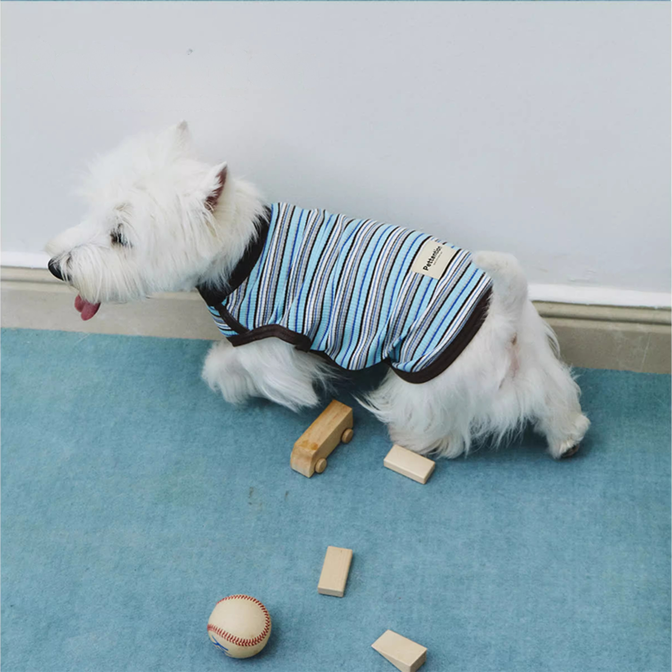 マルチボーダートップス