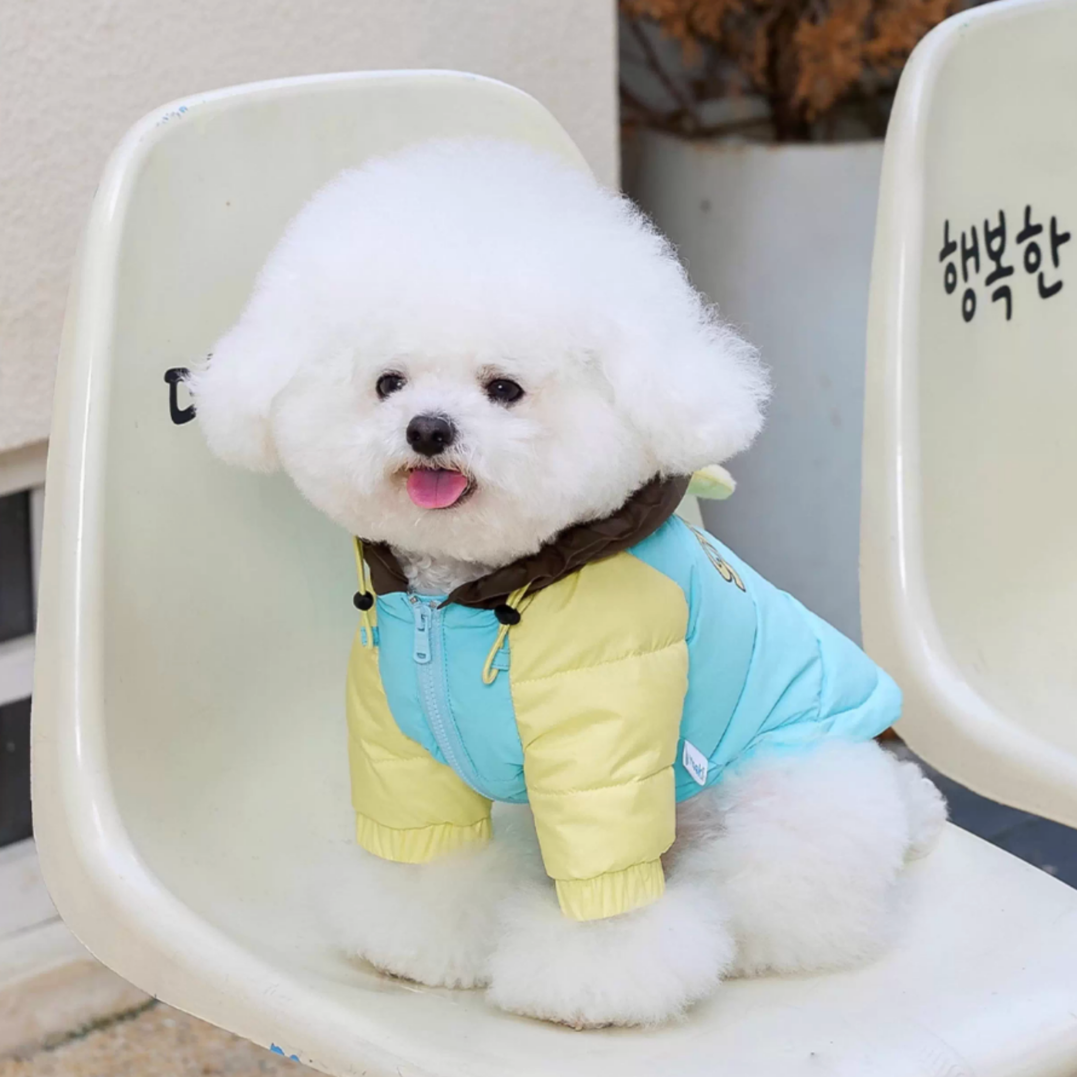 ポンポンフーディアウター