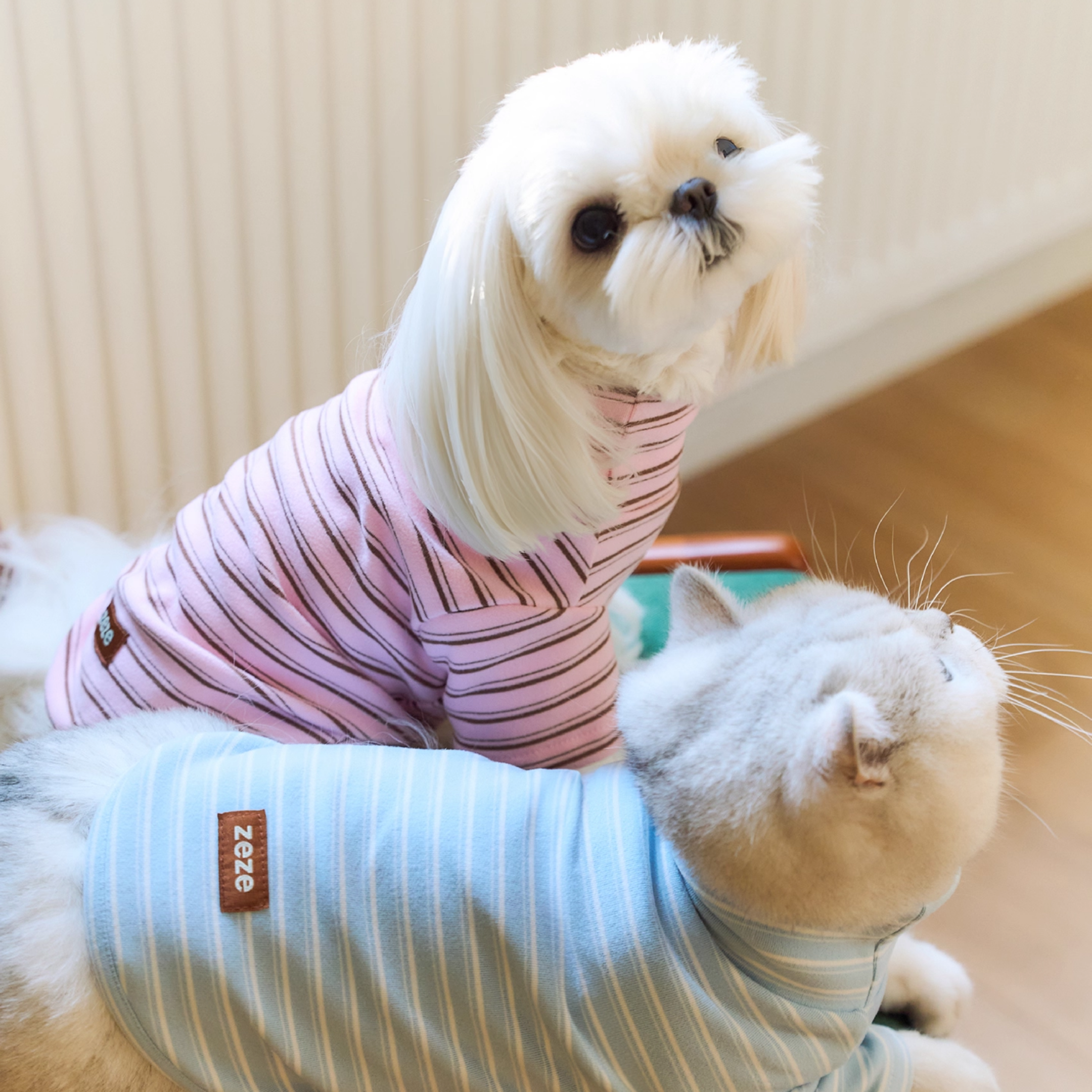 ストライプレイヤートップス