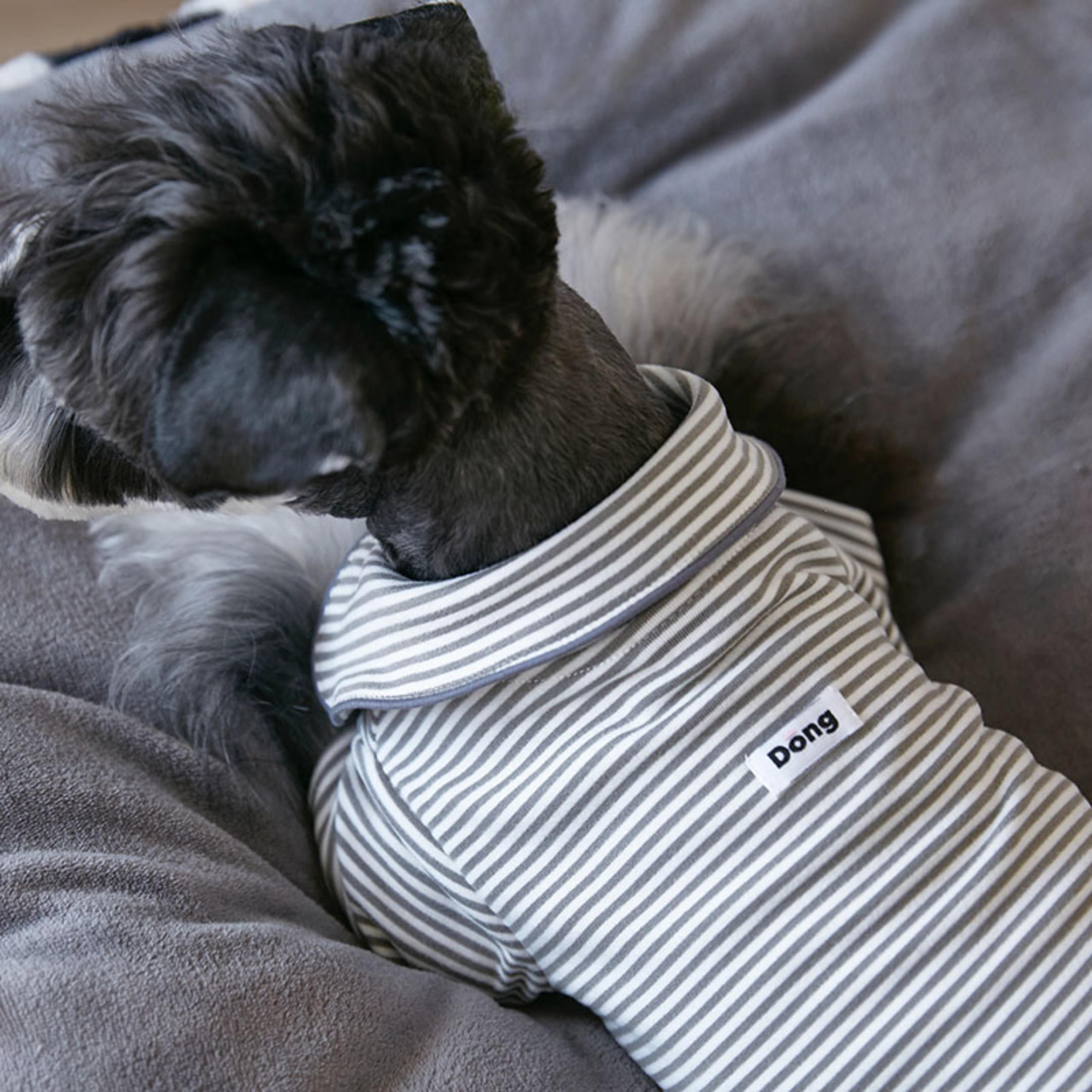 ストライプシャツトップス