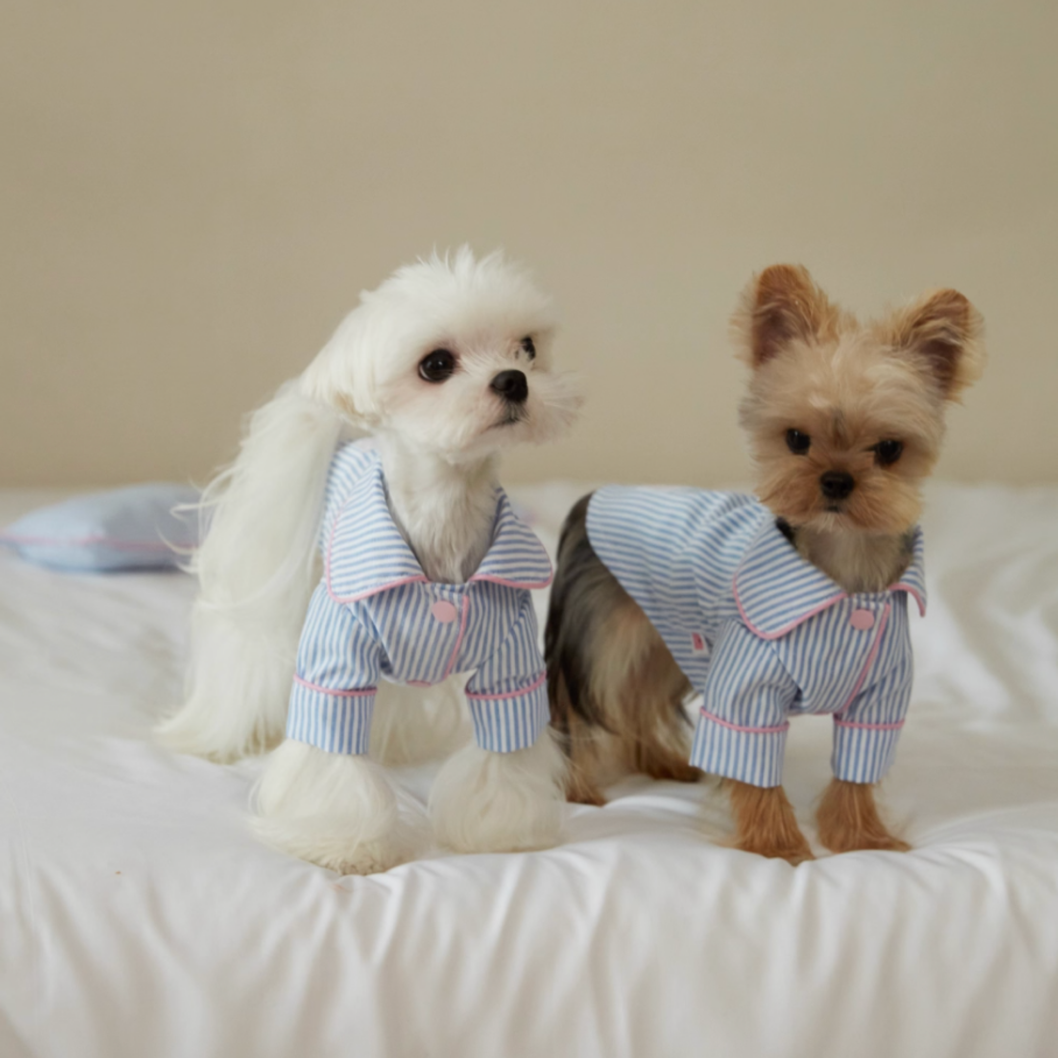 ストライプパジャマトップス