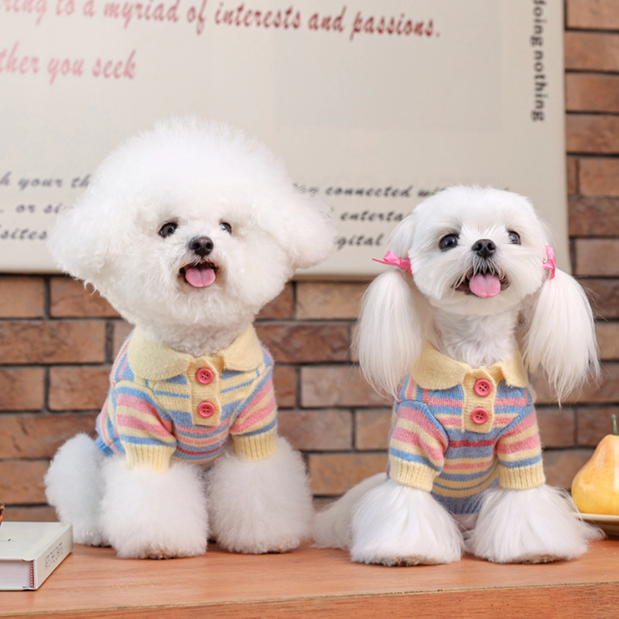 ボーダーニットトップス