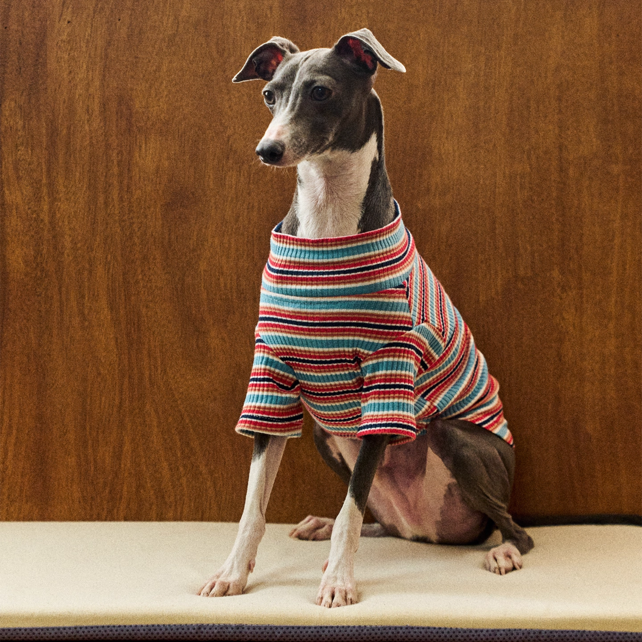 レトロラインタートルトップス