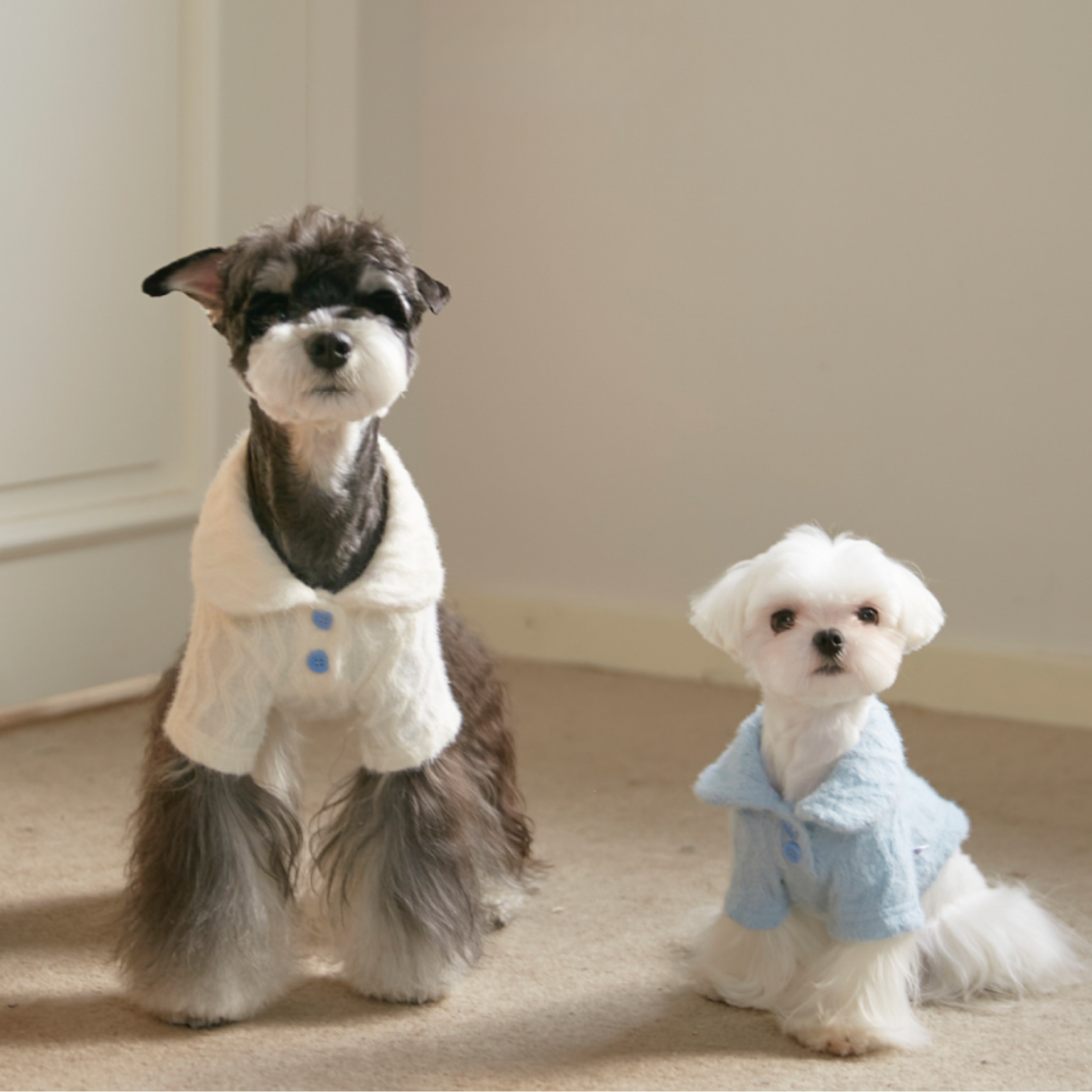 ケーブルロールトップス