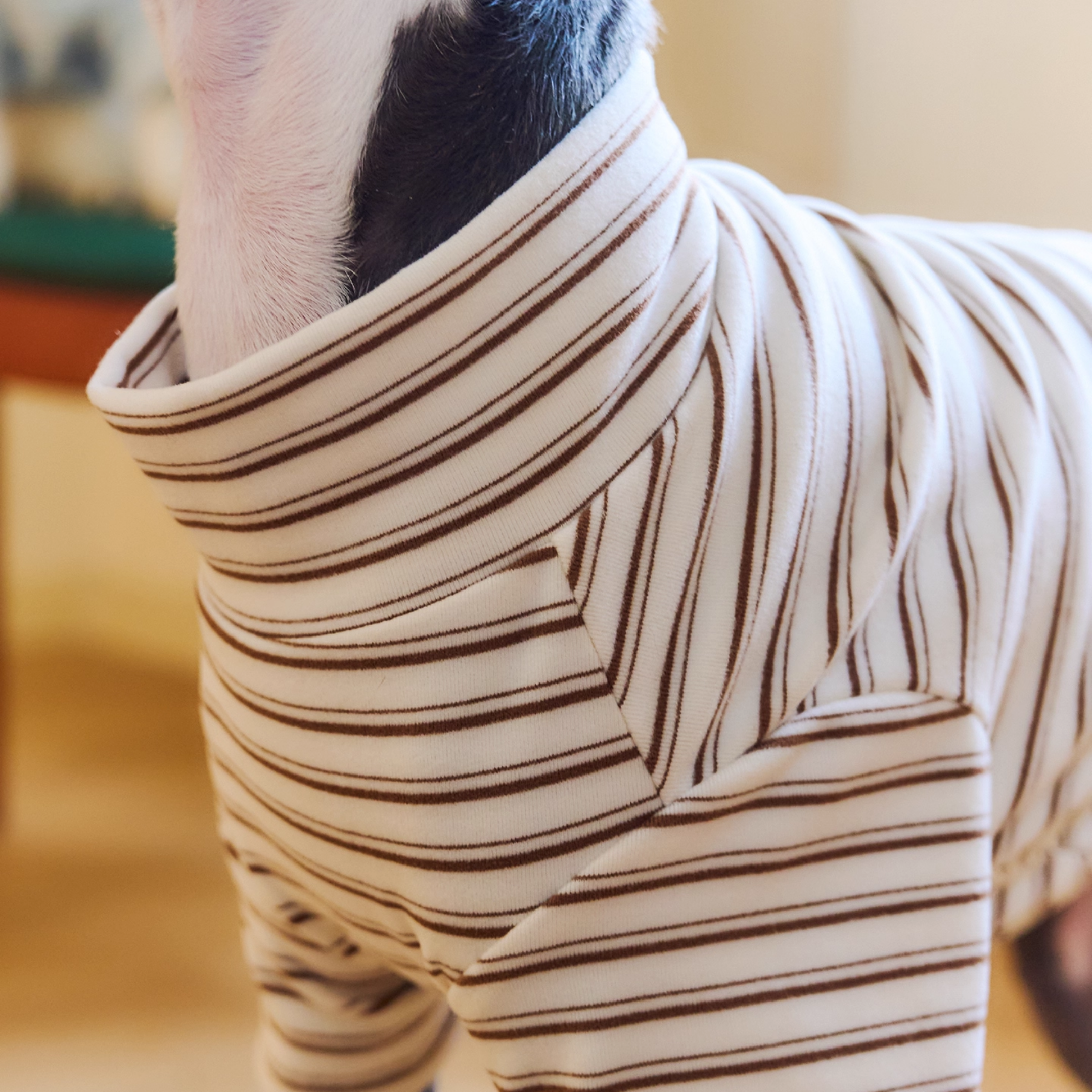 ストライプレイヤートップス