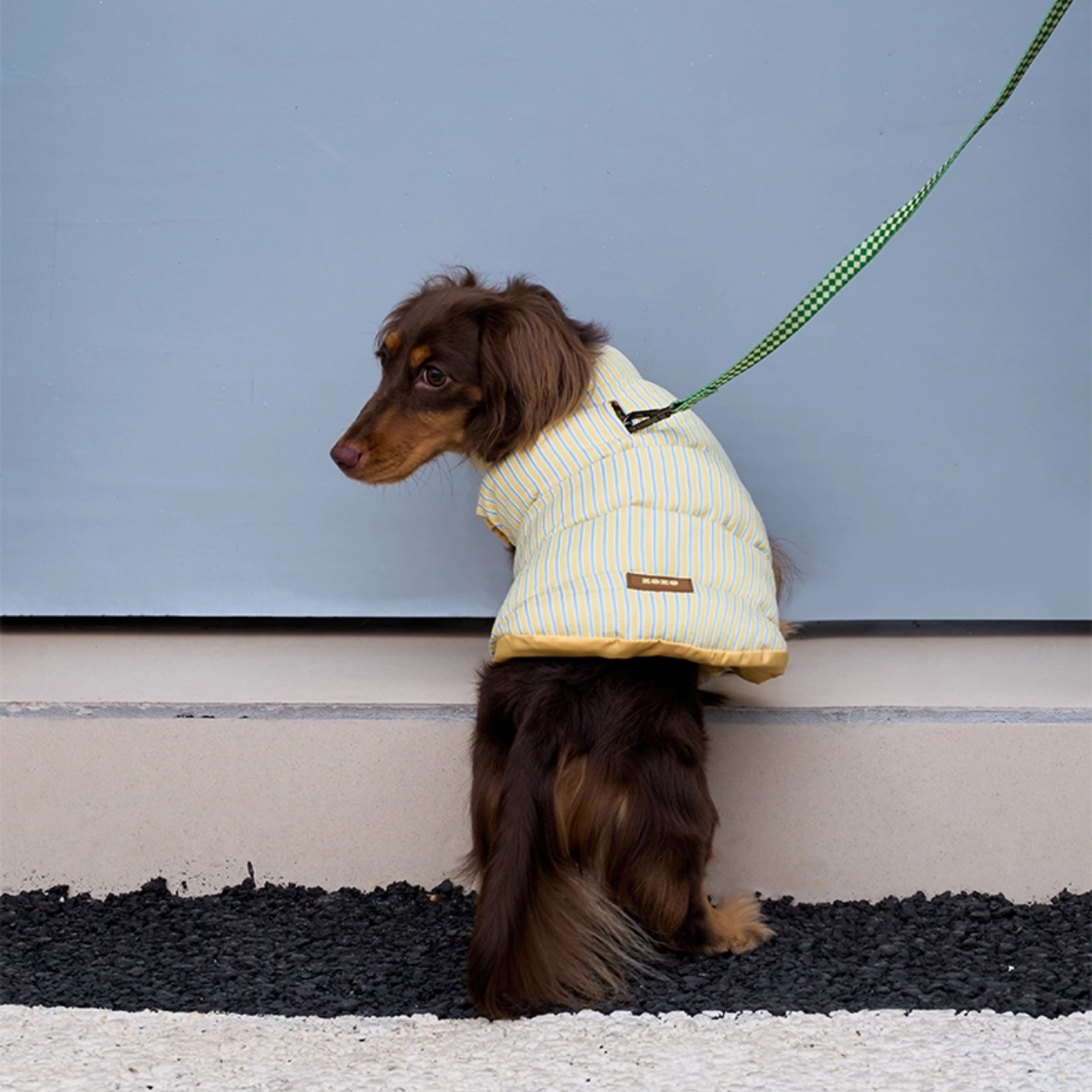 ストライプパフアウター