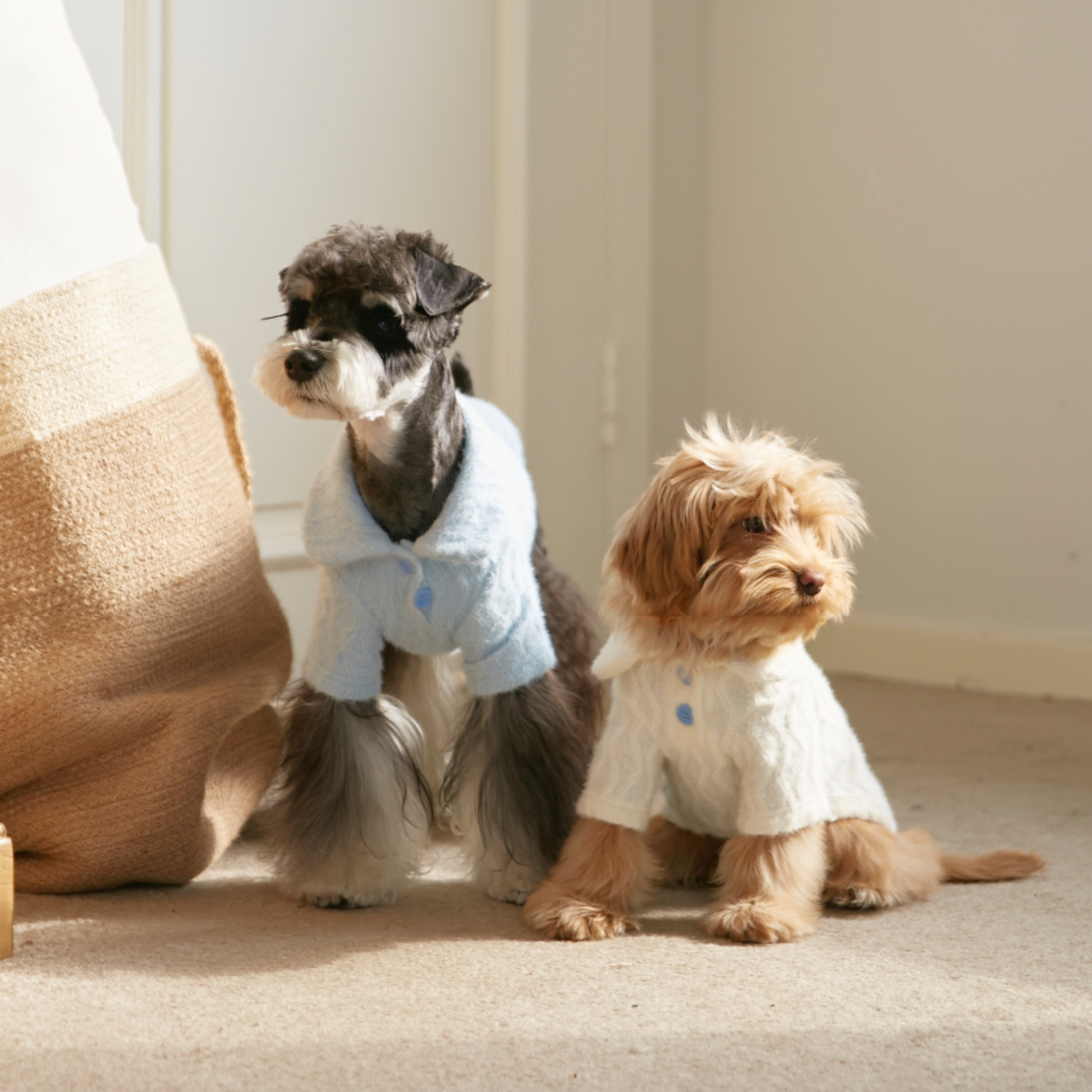 ケーブルロールトップス