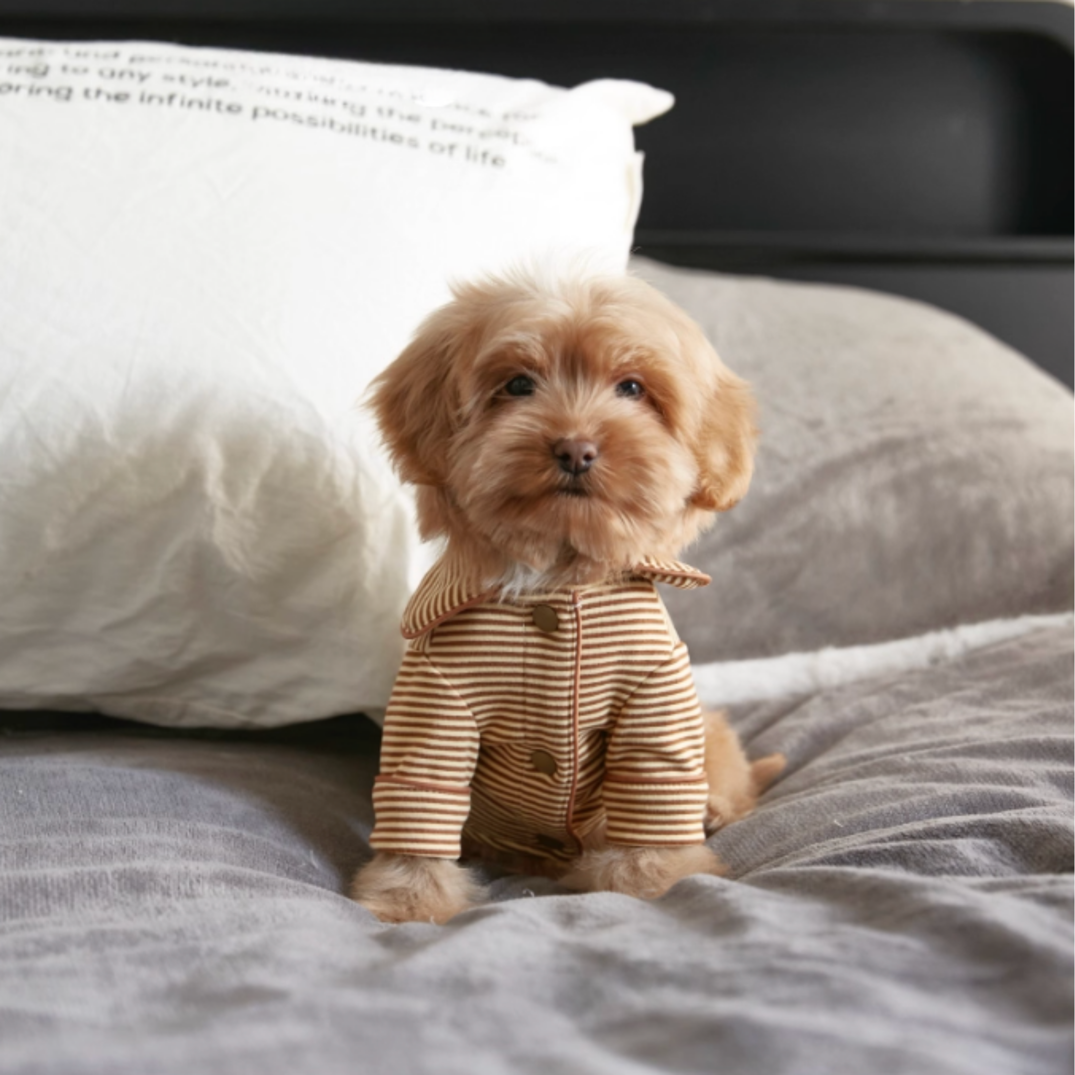 ストライプシャツトップス