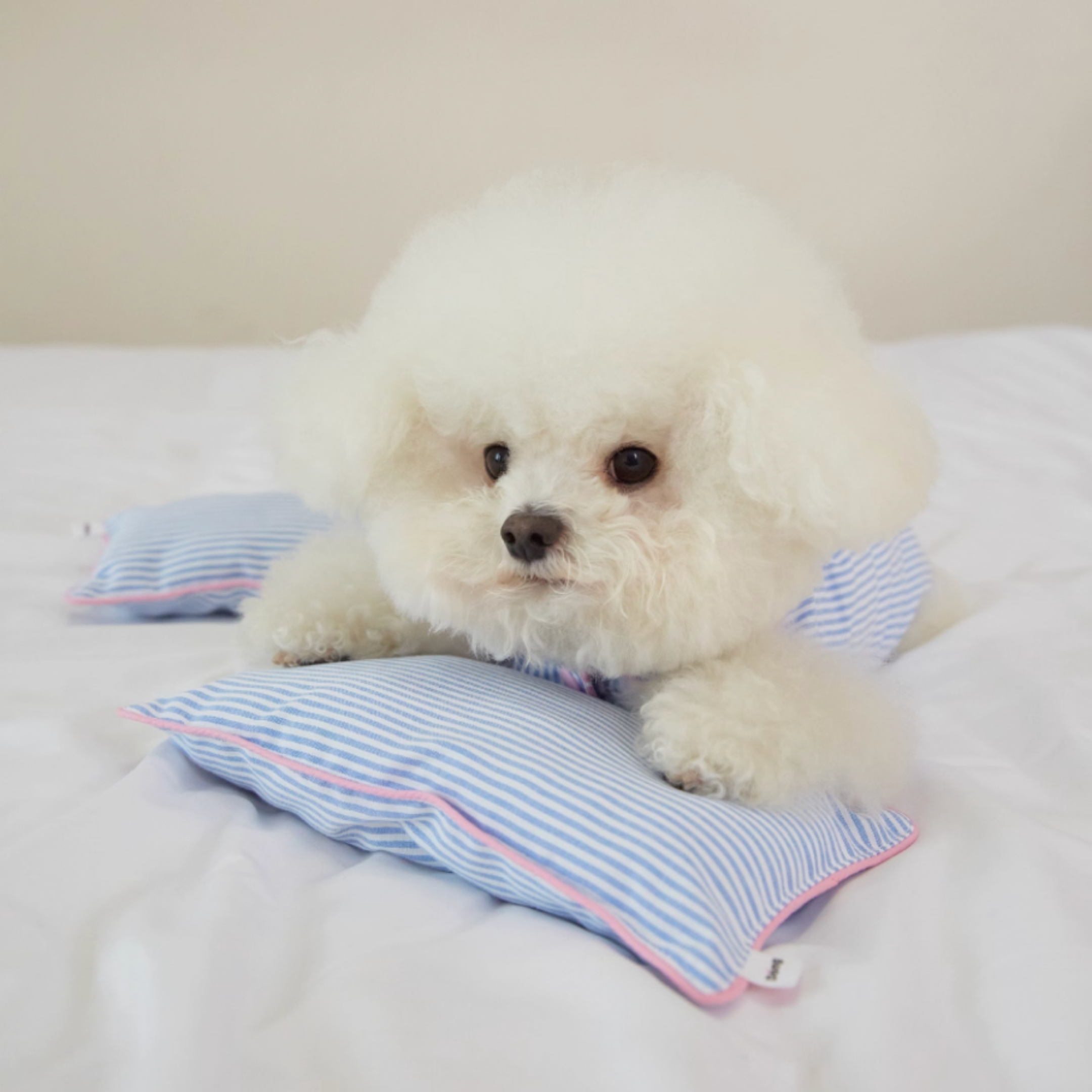 ストライプパジャマトップス