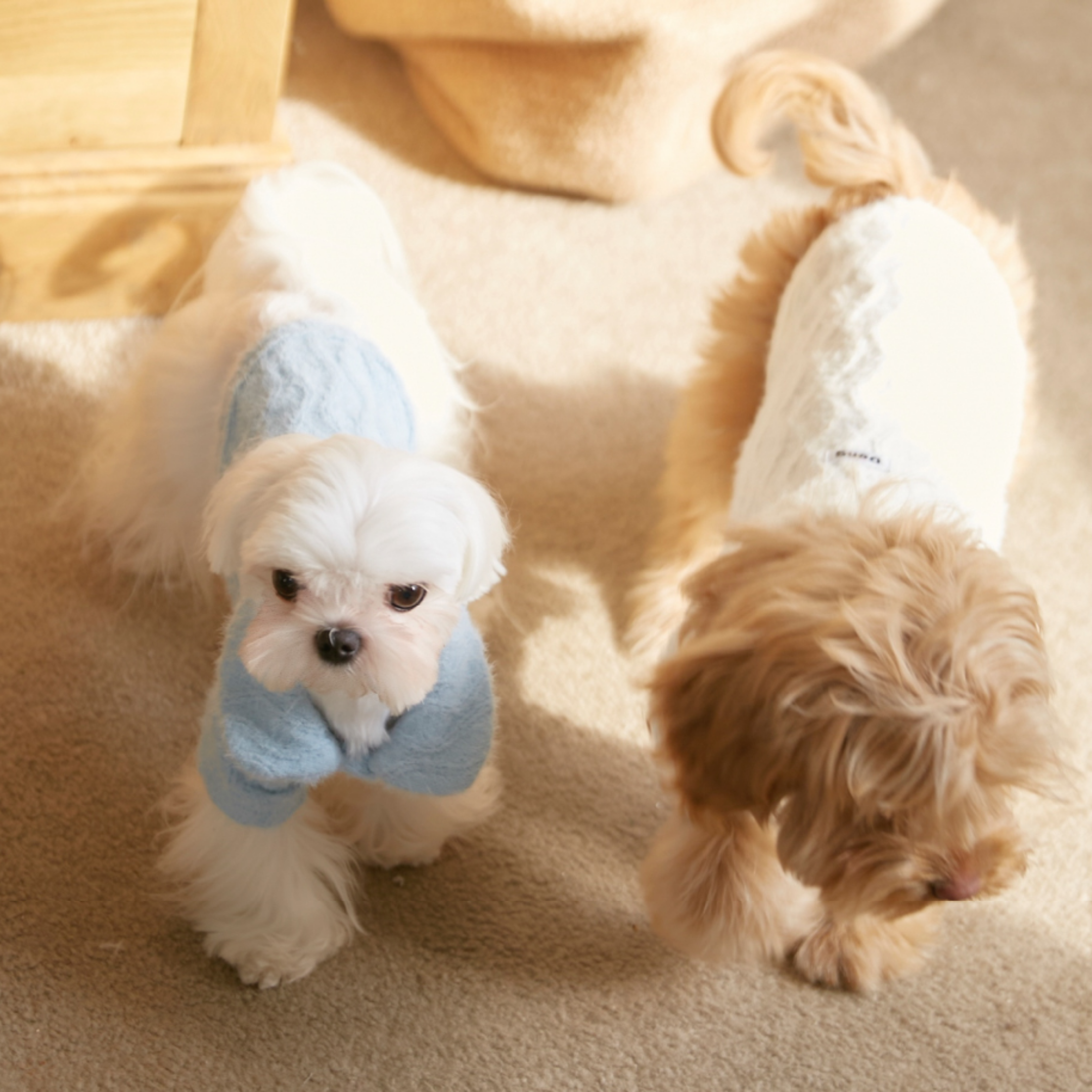 ケーブルロールトップス