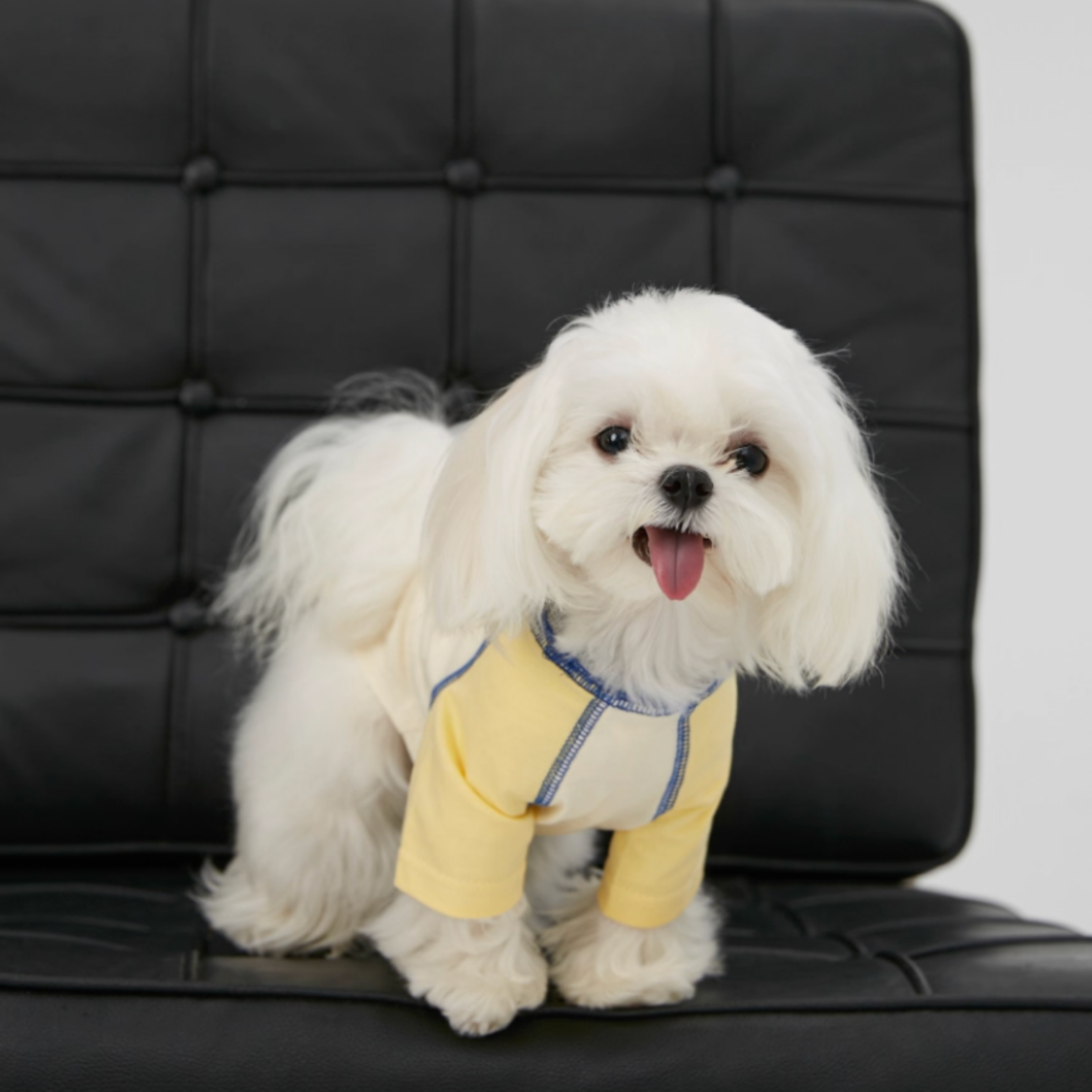 バイカラーラグラントップス