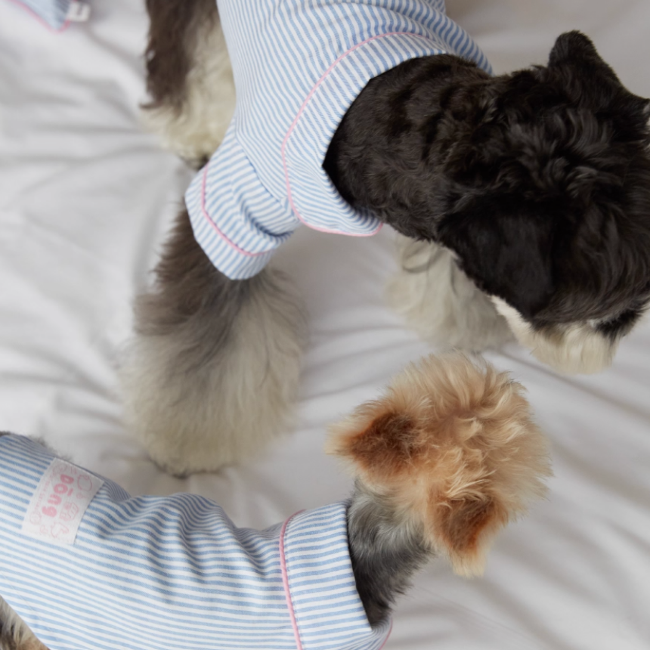 ストライプパジャマトップス