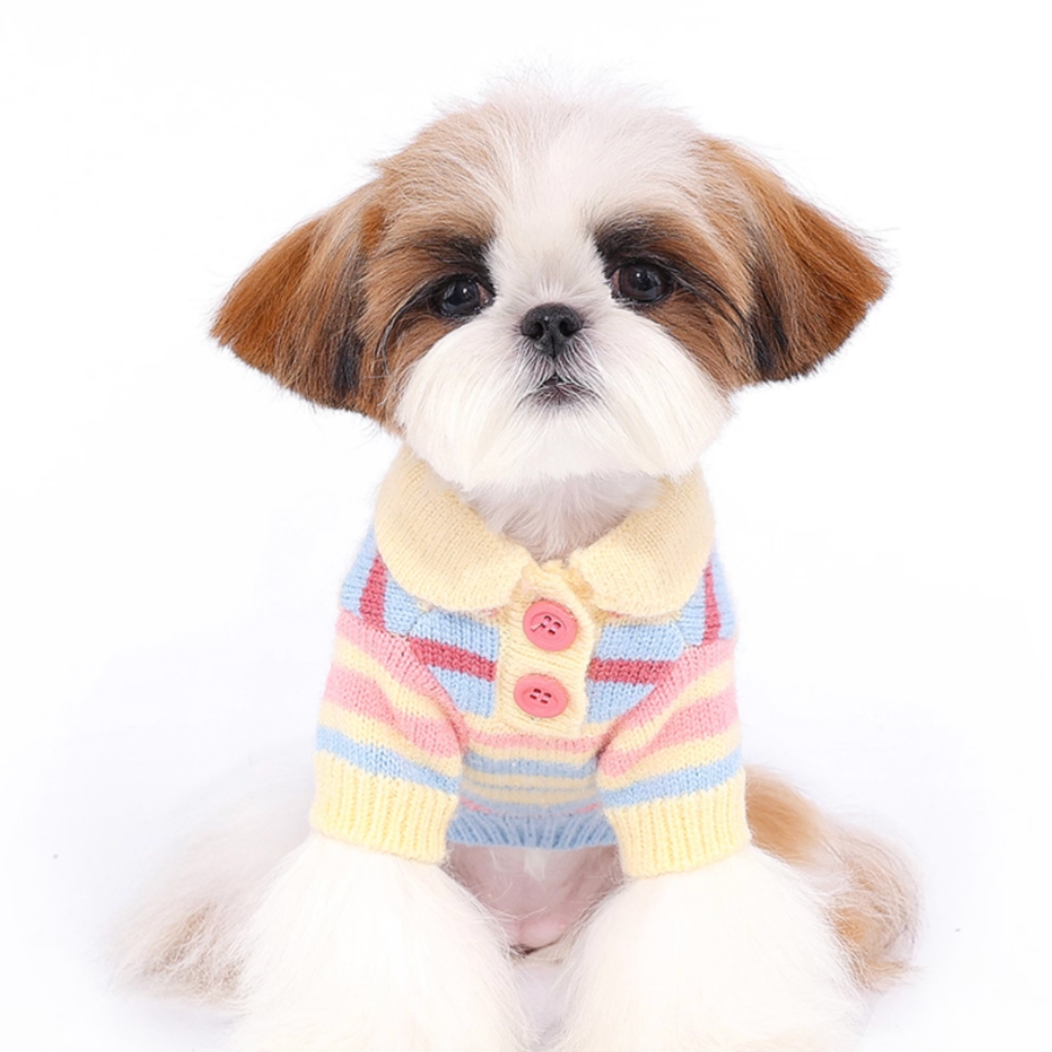 ボーダーニットトップス