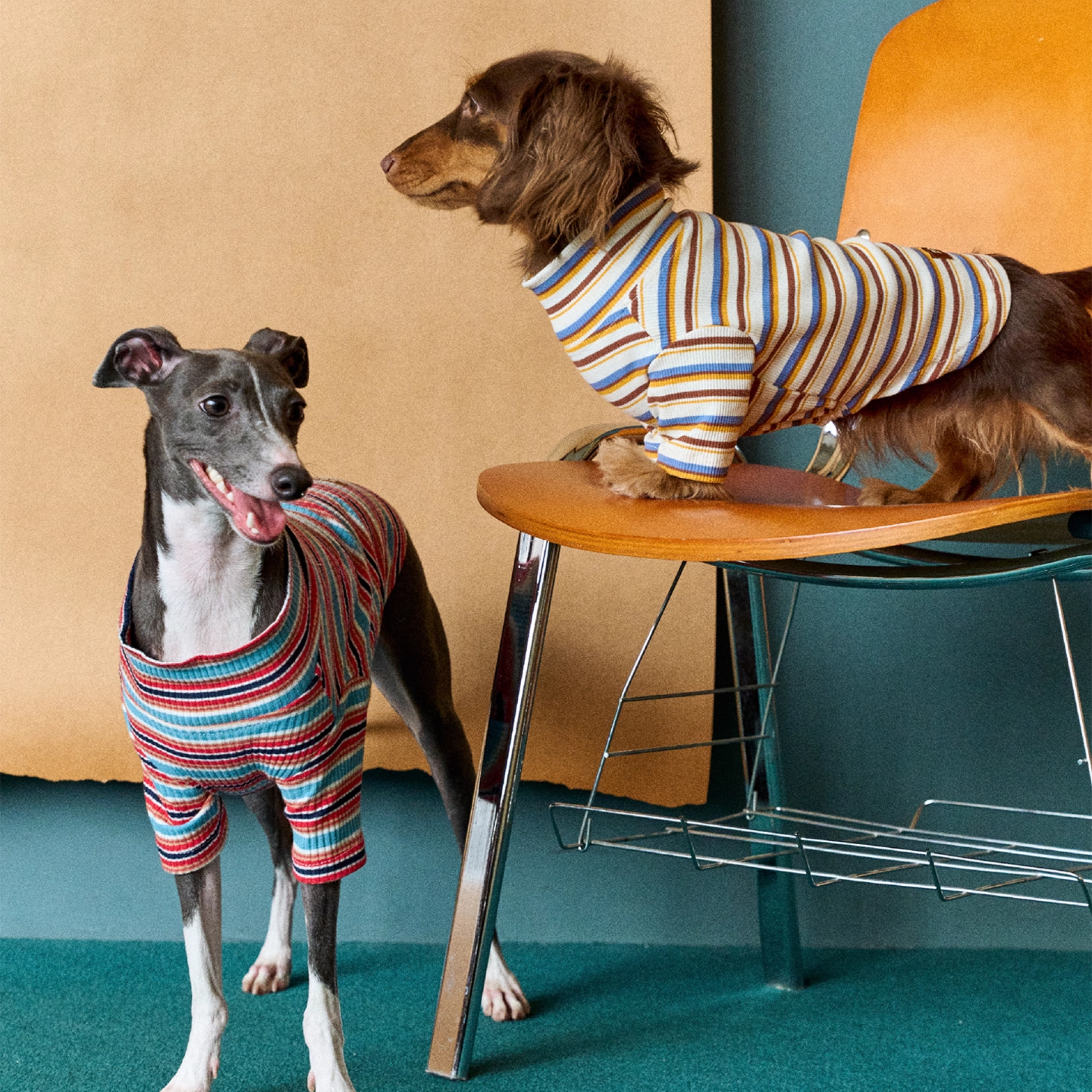 レトロラインタートルトップス