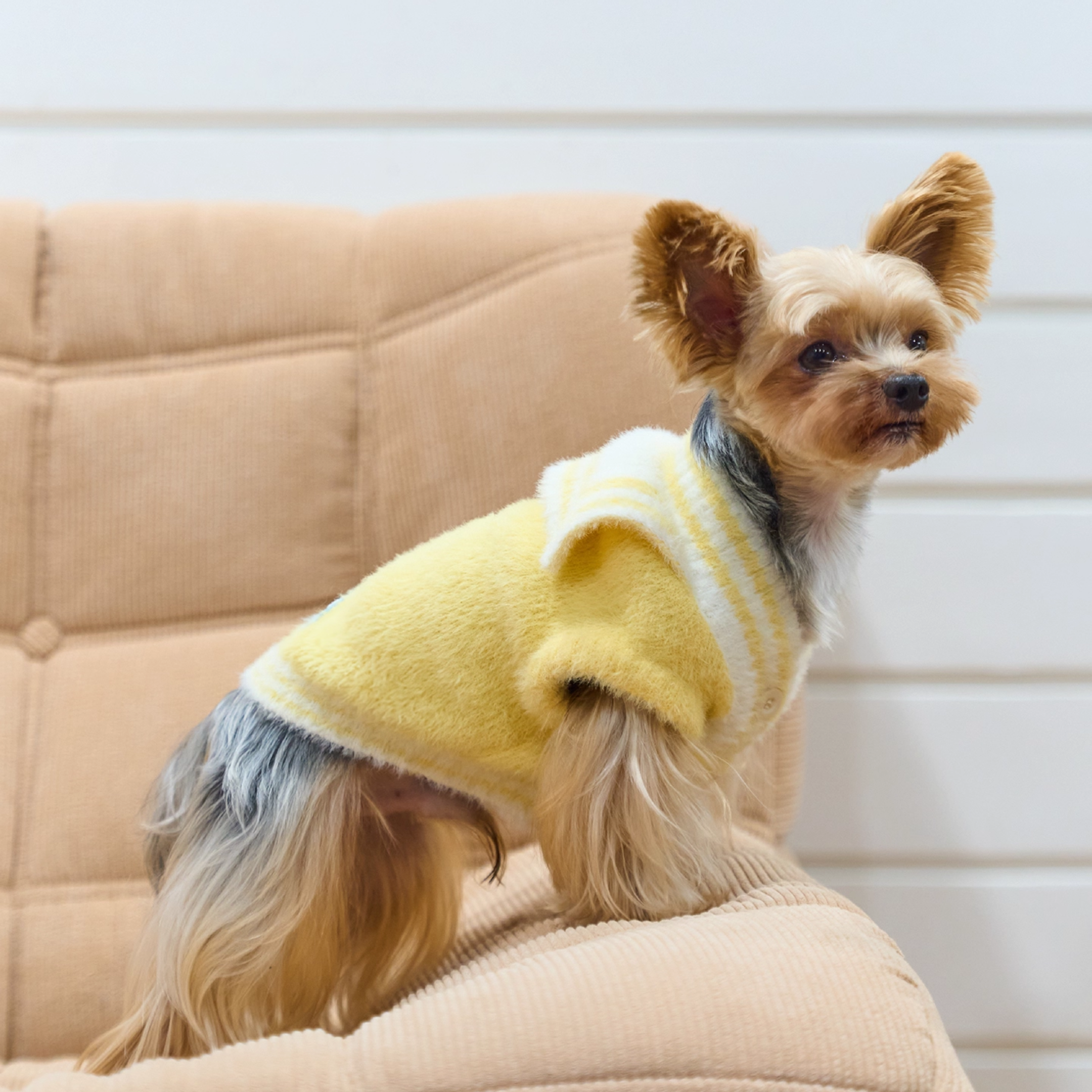 セーラーニットトップス