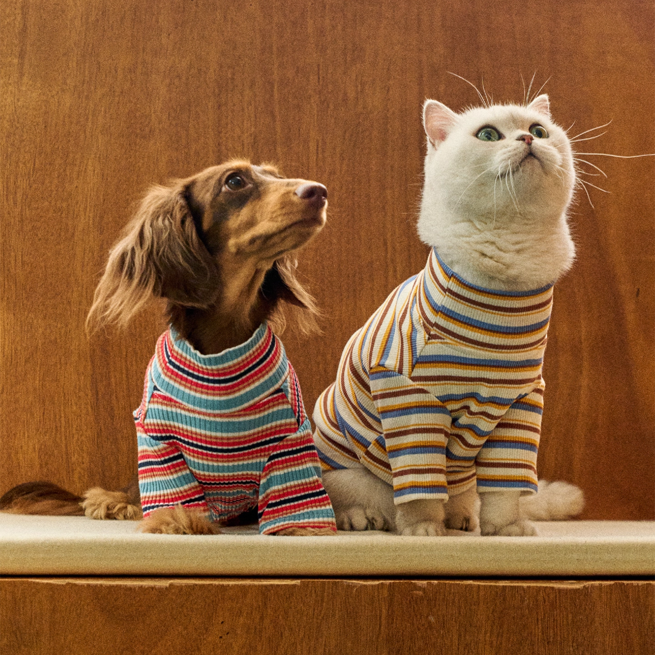 レトロラインタートルトップス