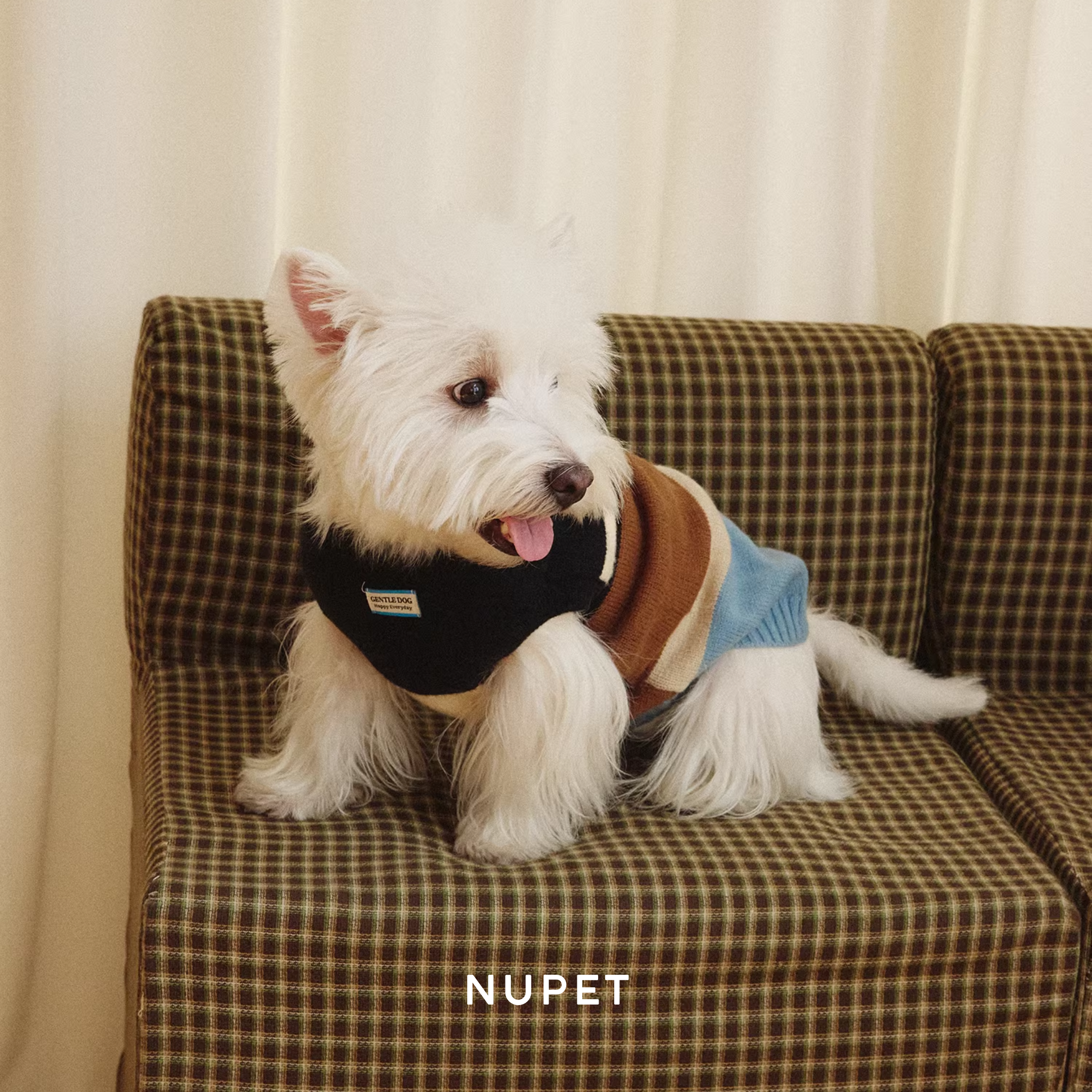 コンフォートボーダートップス