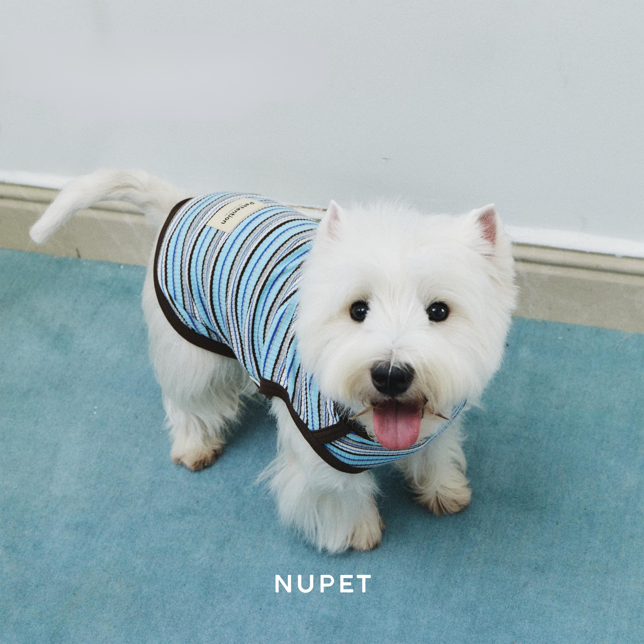 マルチボーダートップス