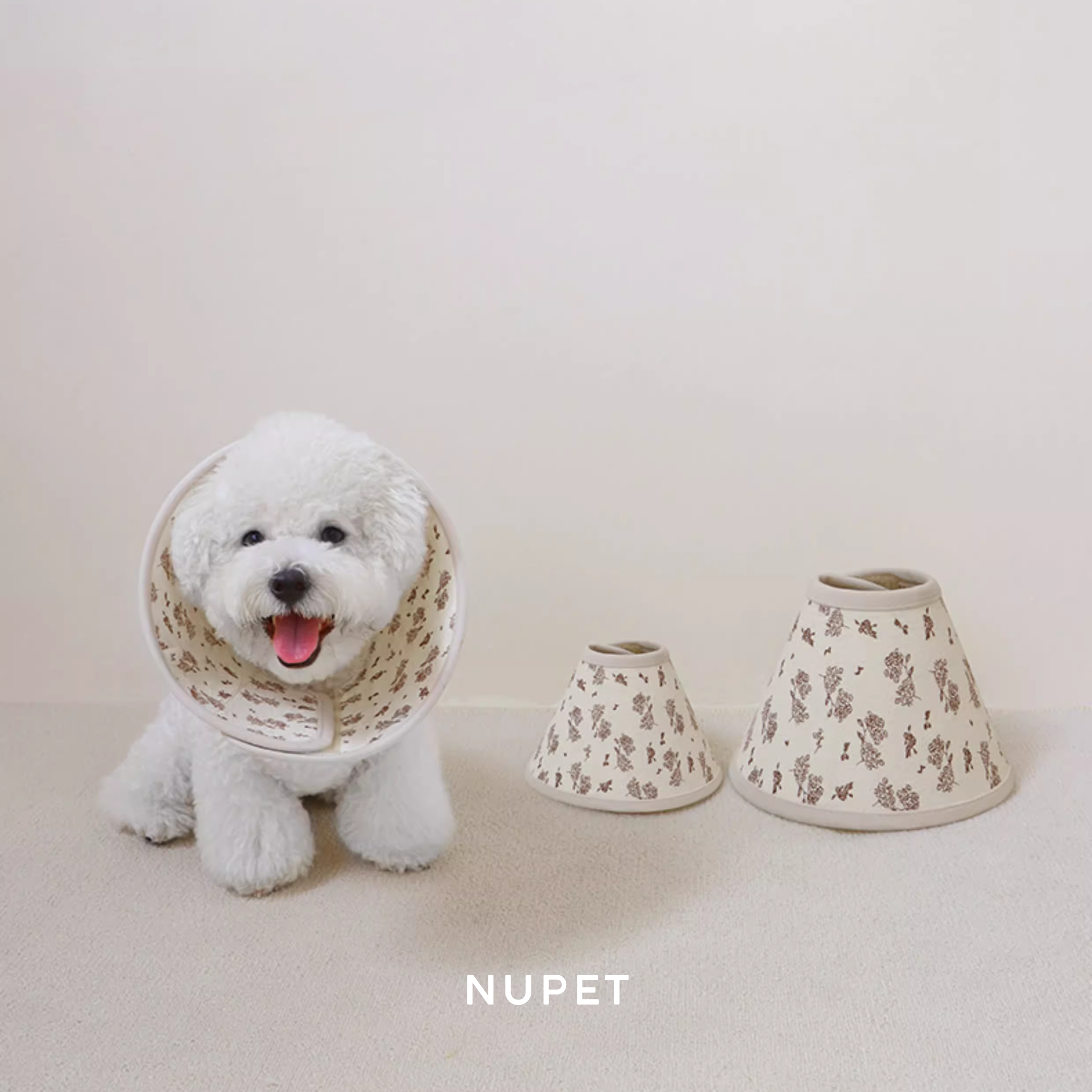 フラワーソフトエリザベス