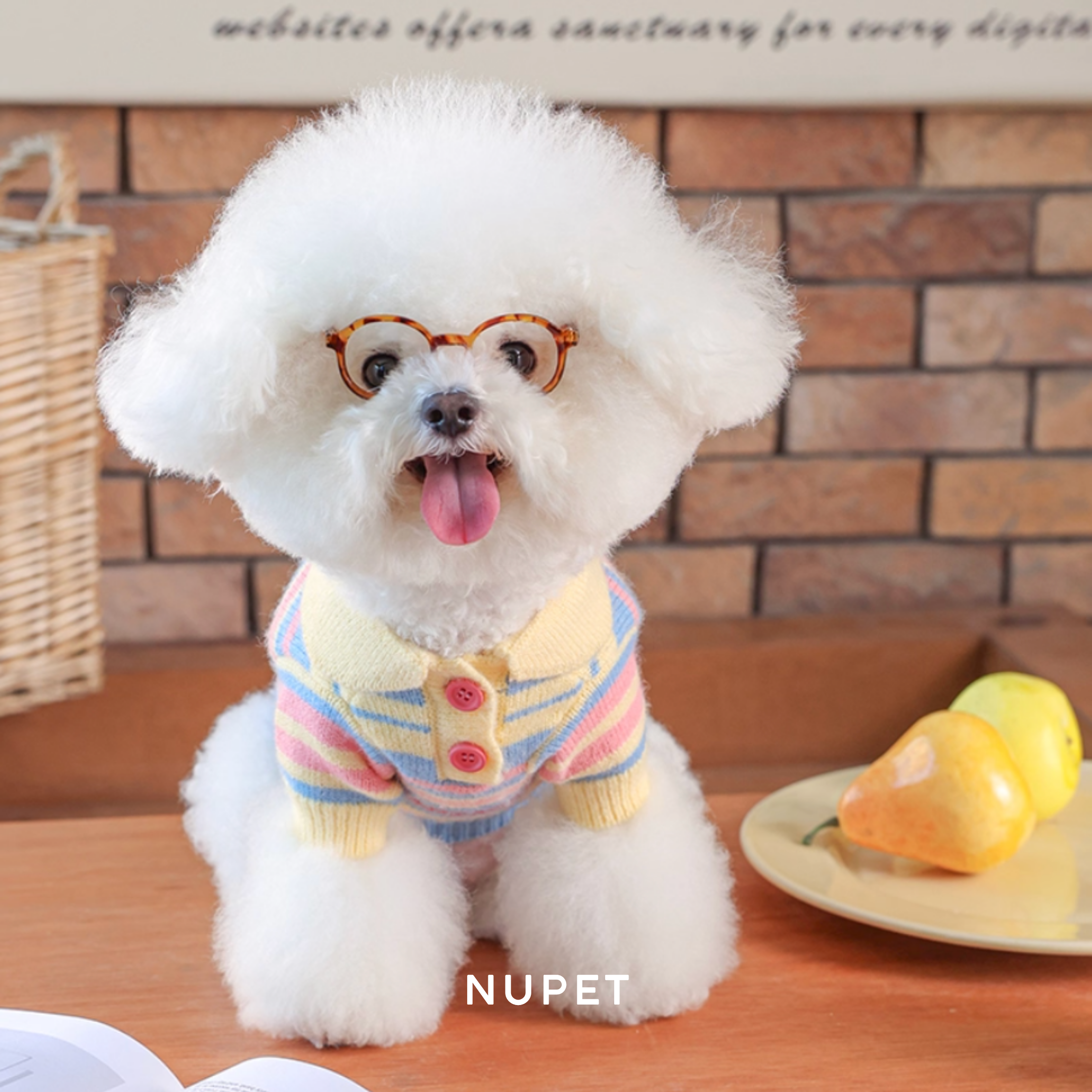 ボーダーニットトップス