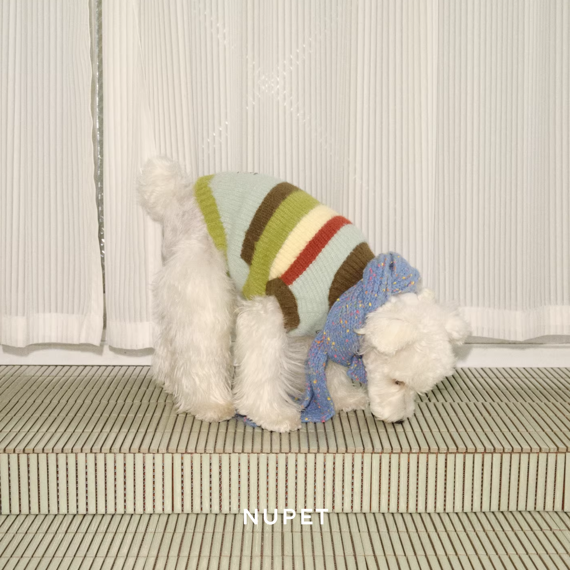 クラシックカラーニットトップス