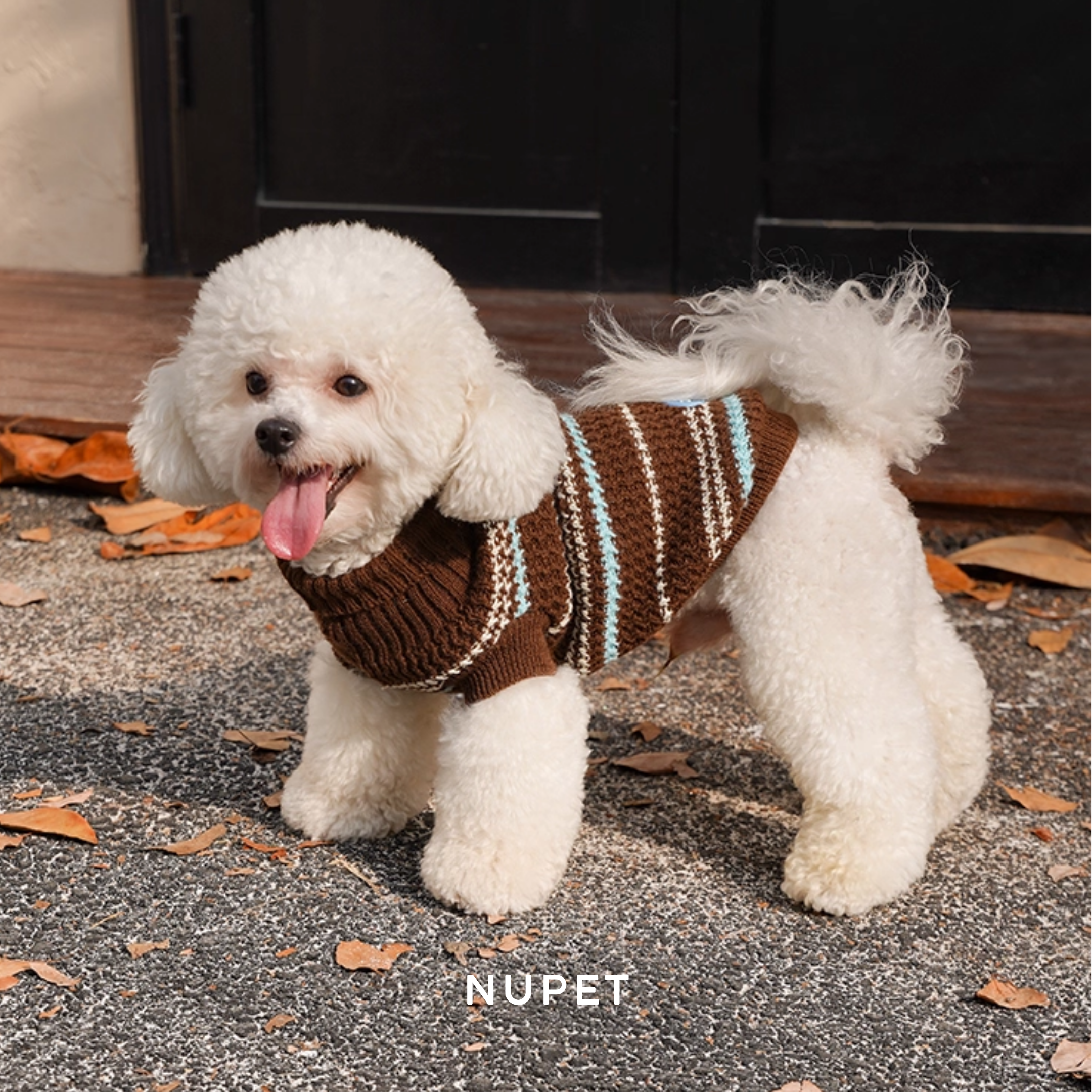 クラシックボーダーニット